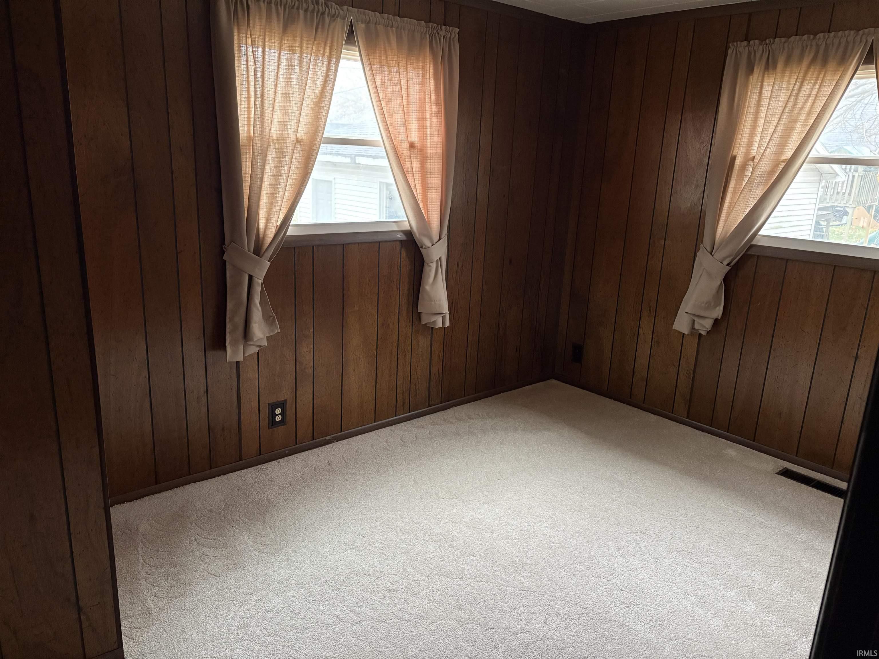 Carpeted spare room with wood walls and healthy amount of natural light