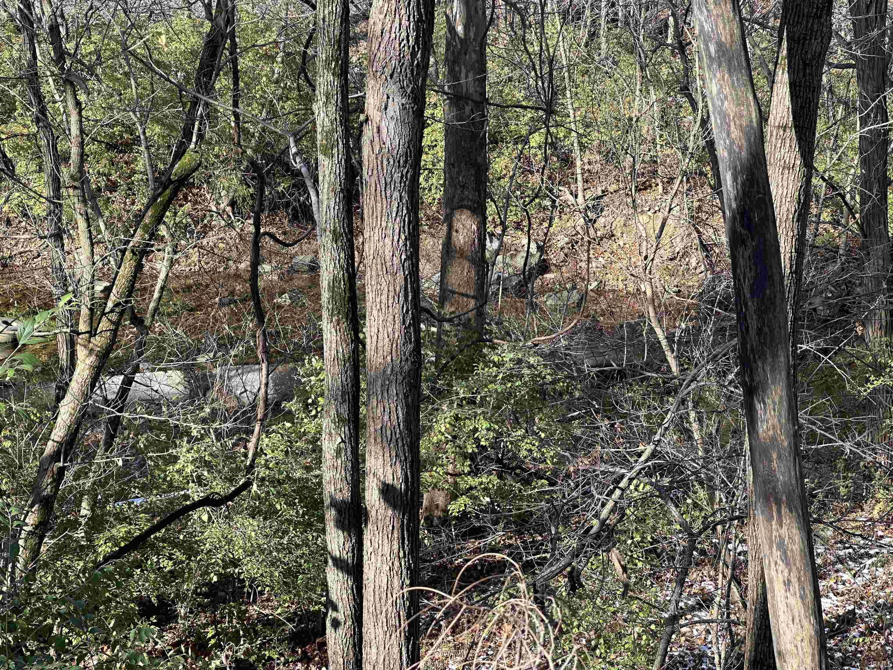 Photo 21 of 765 Lafontaine Avenue