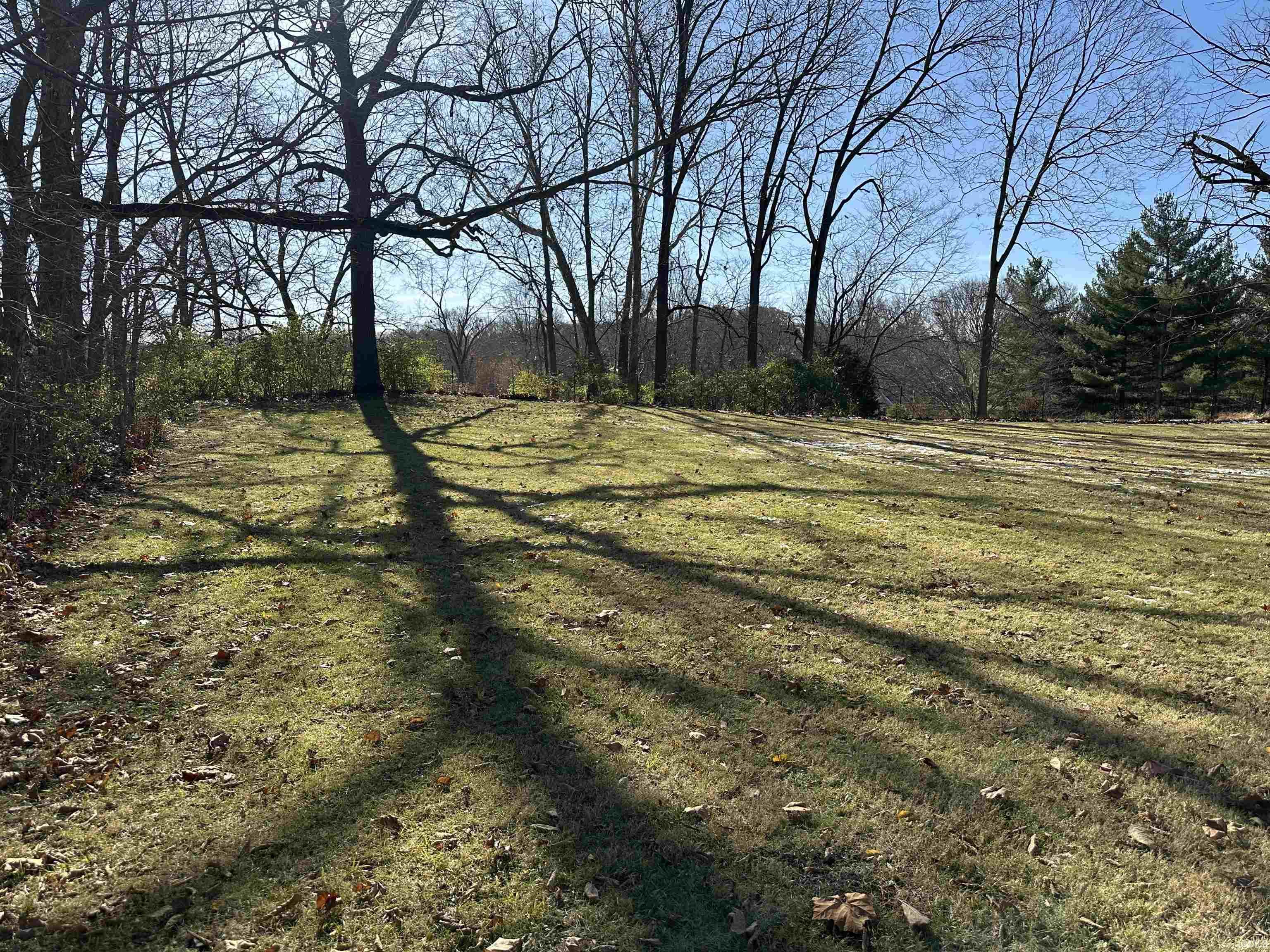 Photo 22 of 765 Lafontaine Avenue