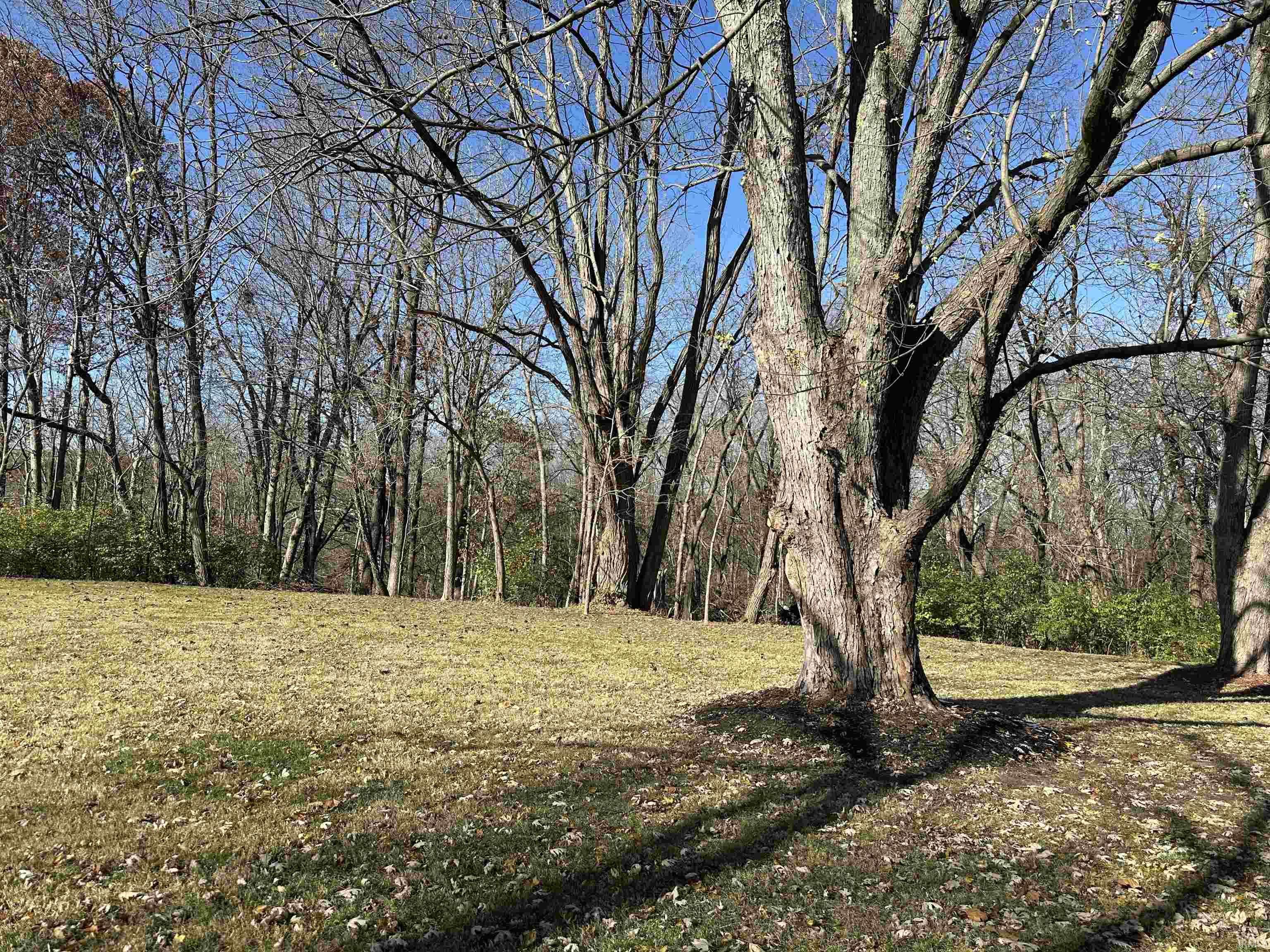 Photo 23 of 765 Lafontaine Avenue