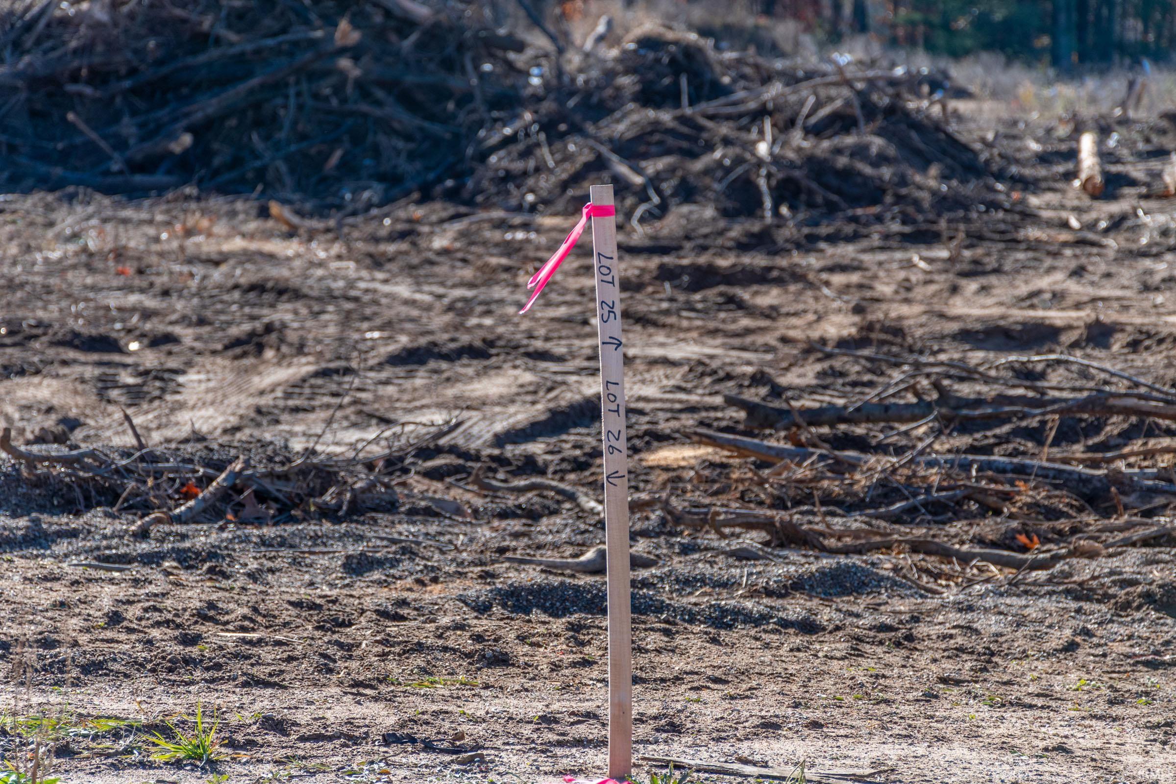 Photo 4 of 15042 Luna Lane