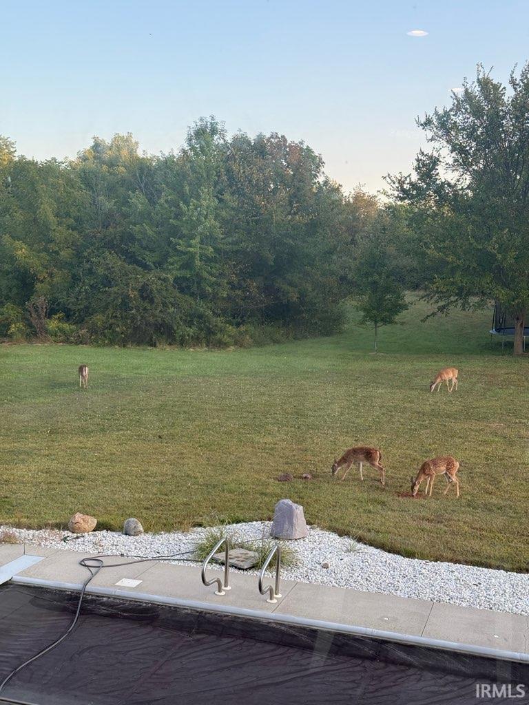 Photo 7 of 17921 Lochner Road