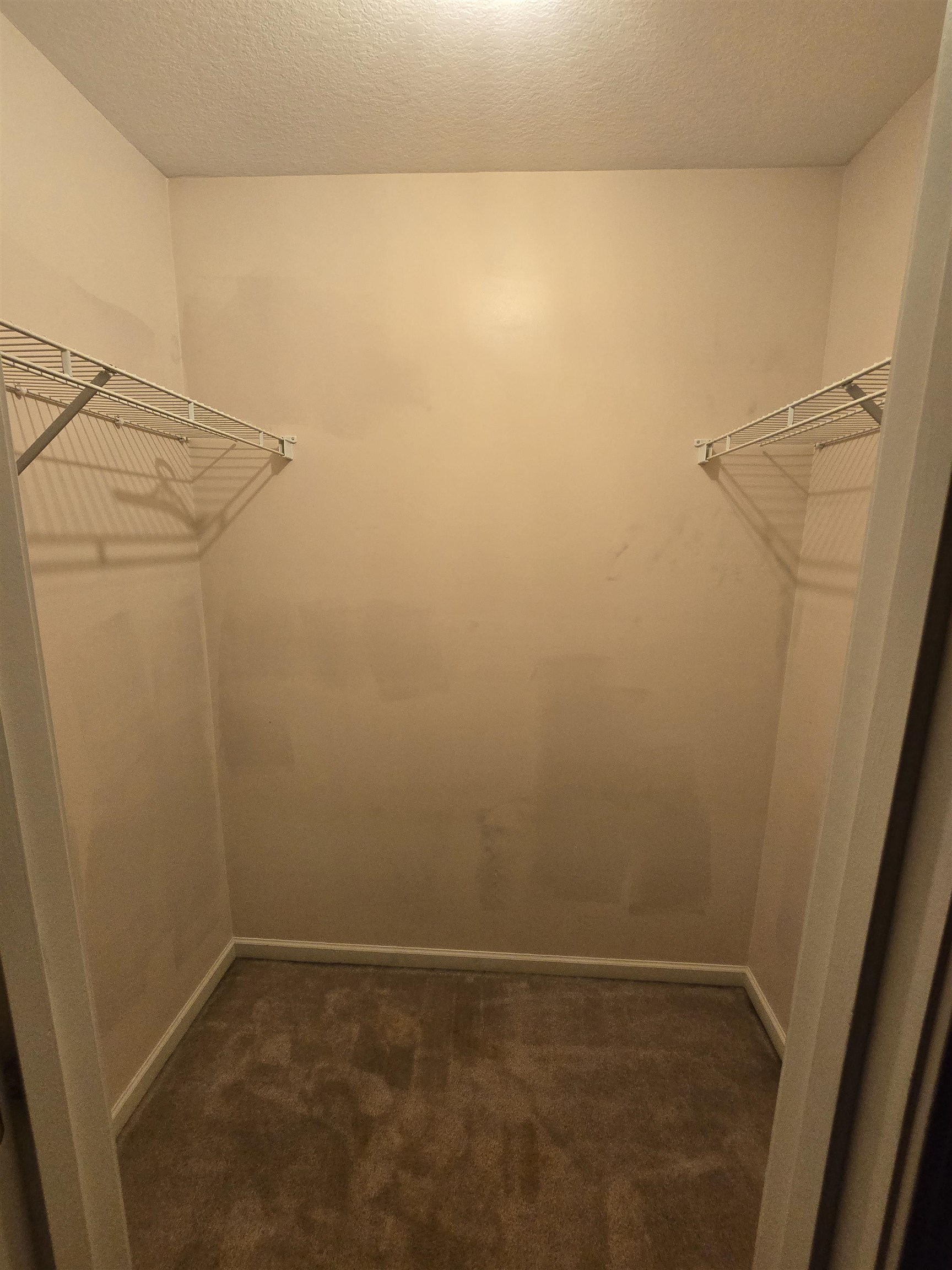 Photo 26 of 235 Spring Forest Court