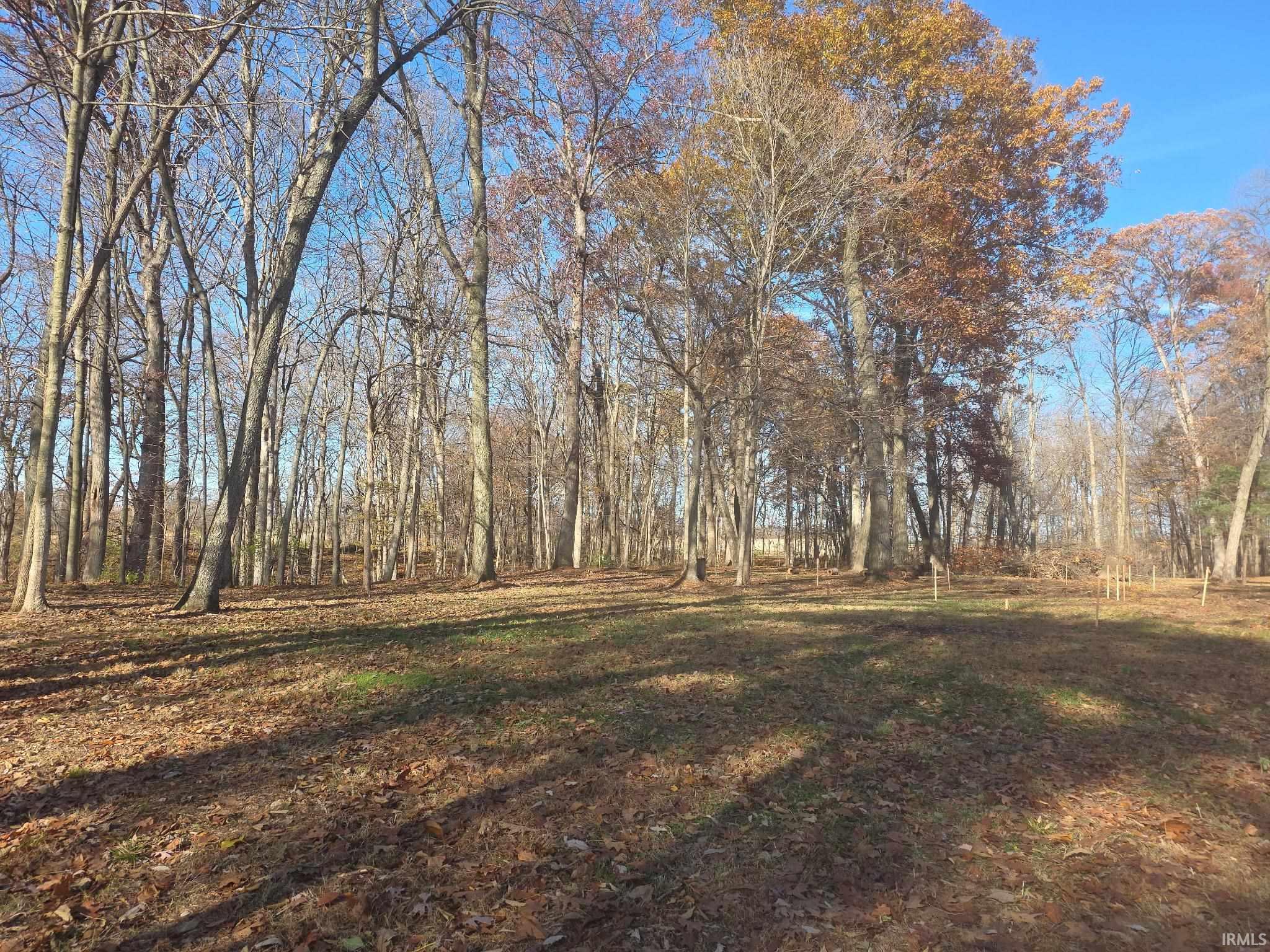 Photo 7 of 0 EMS T52A Lane