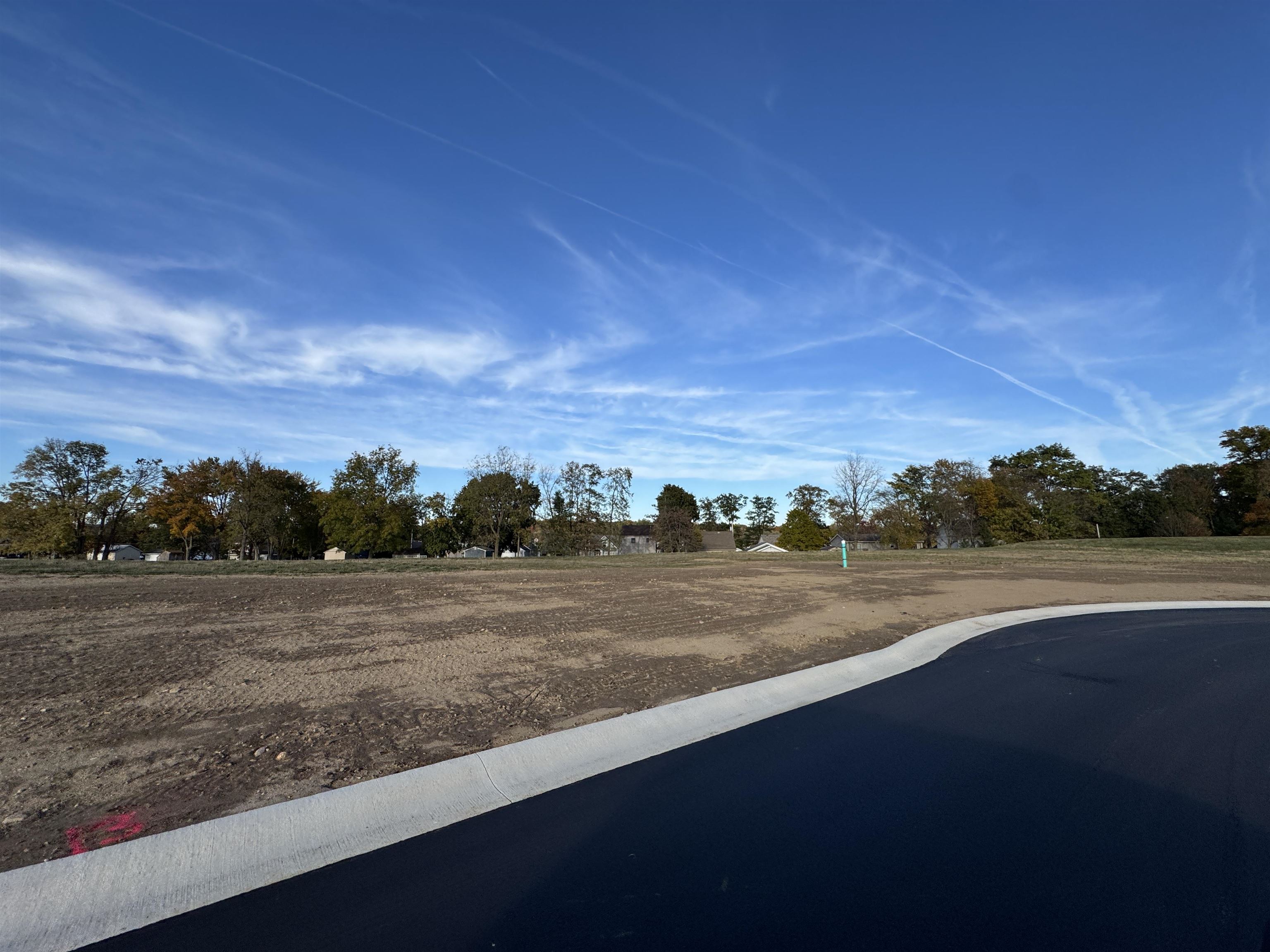 View of asphalt street featuring view of wooded area