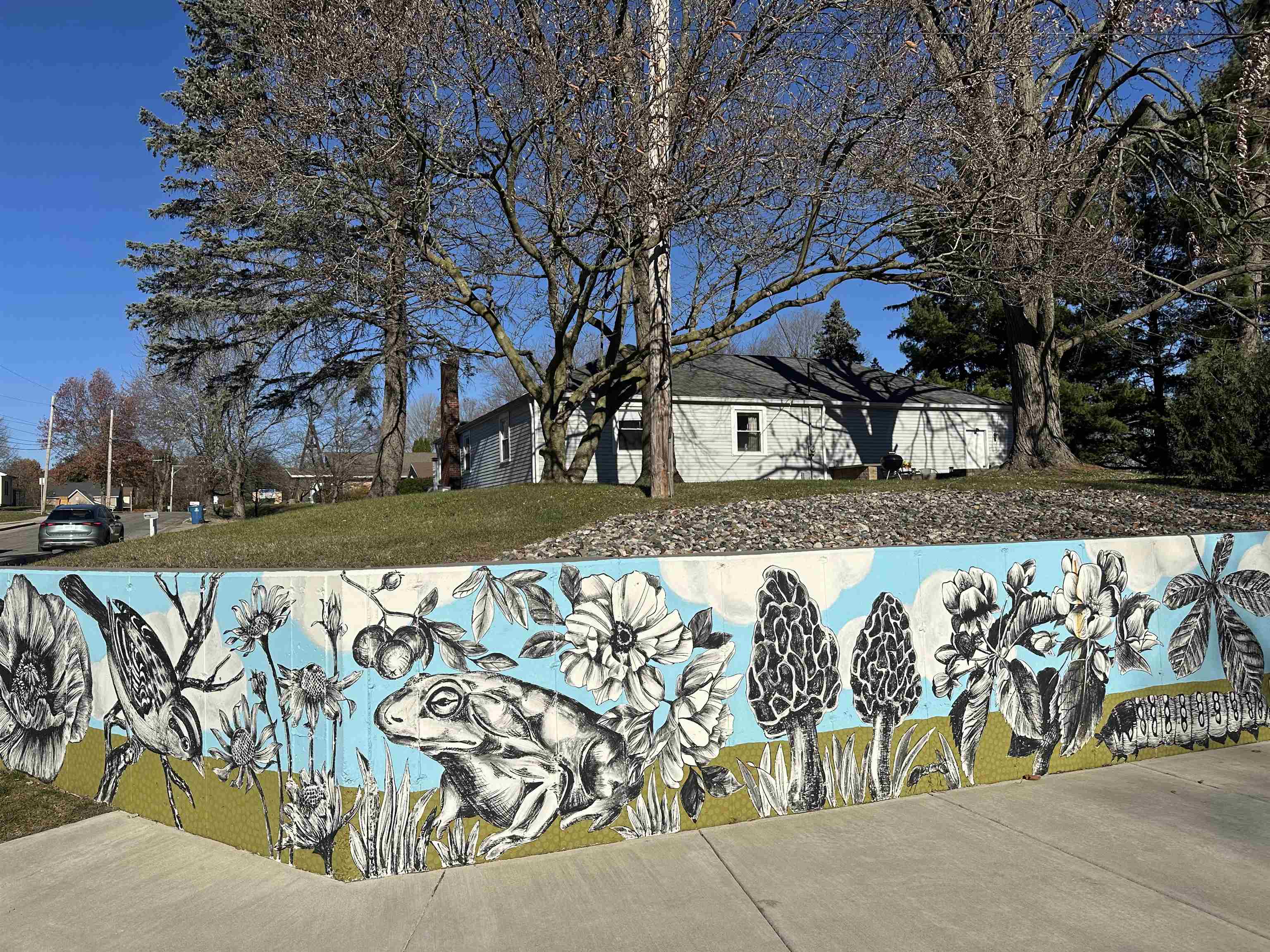 Photo 32 of 1007 S Darling Street