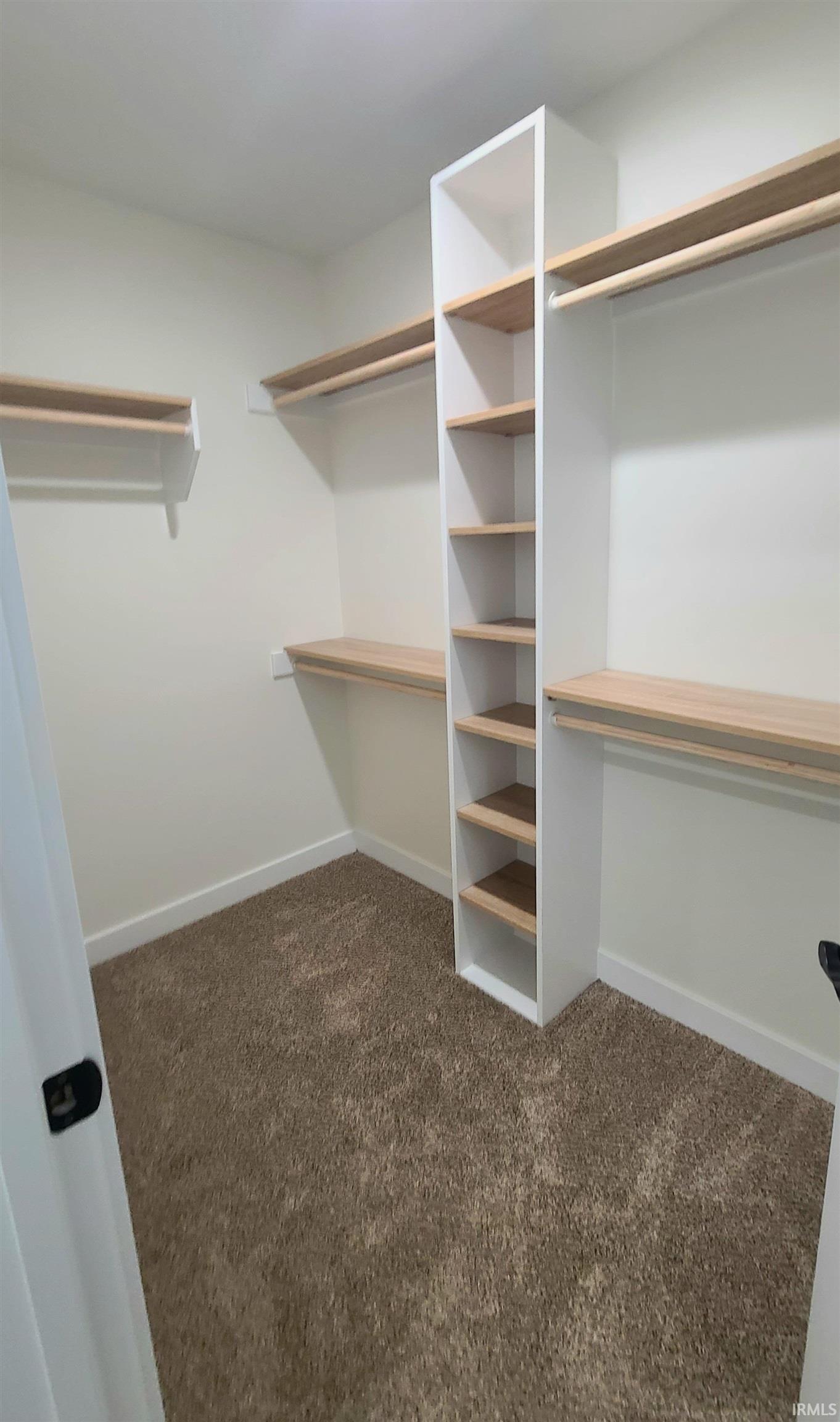 Spacious closet with dark carpet