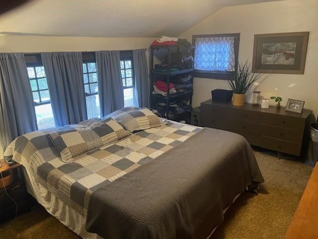 Bedroom featuring lofted ceiling and carpet