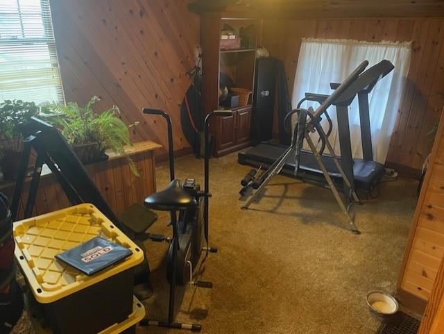 Exercise room featuring wood walls and light colored carpet