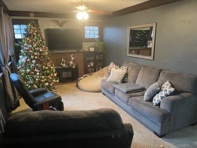 Living room with carpet, healthy amount of natural light, and a ceiling fan