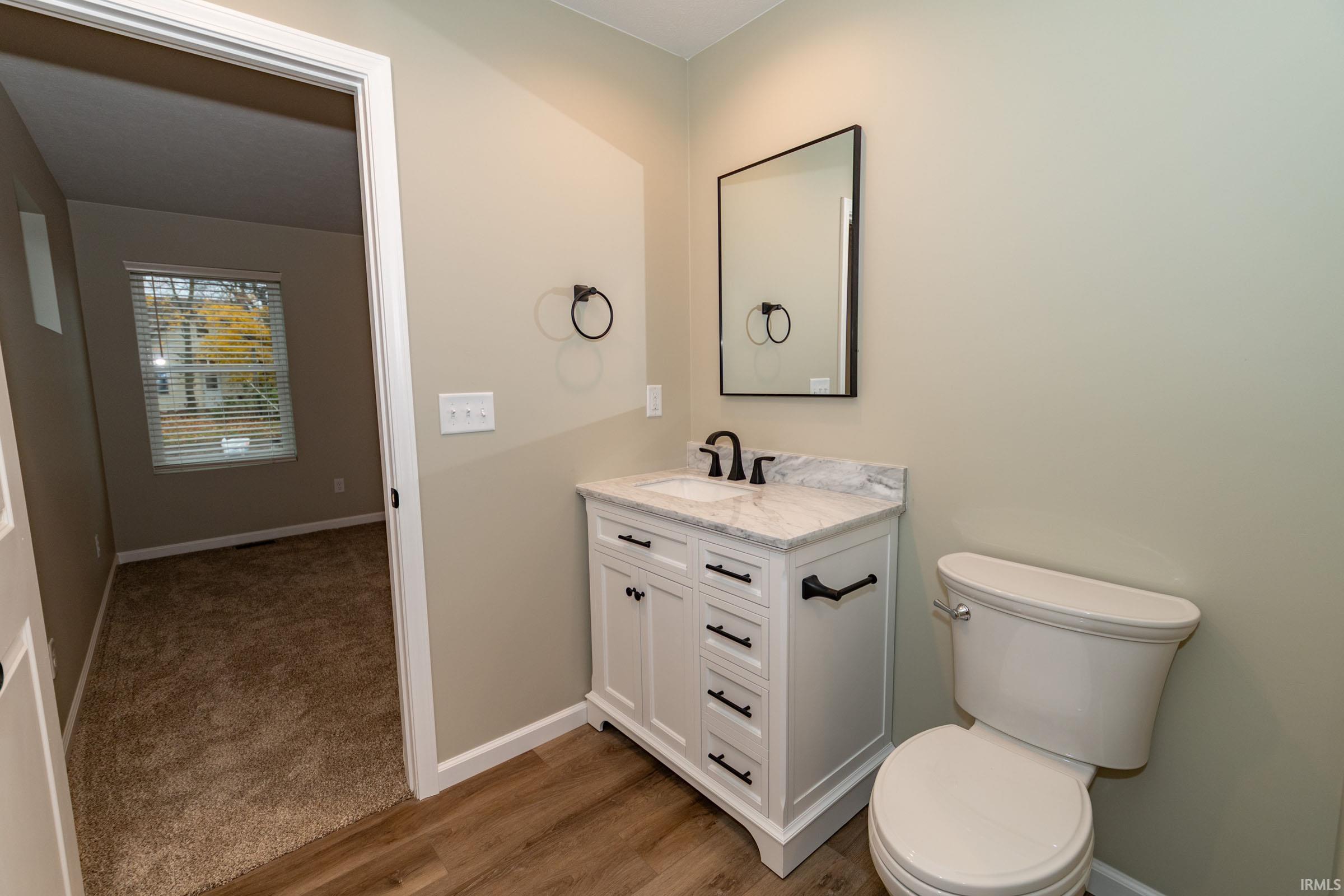 Bathroom featuring vanity, dark wood-style floors, and dark colored carpet