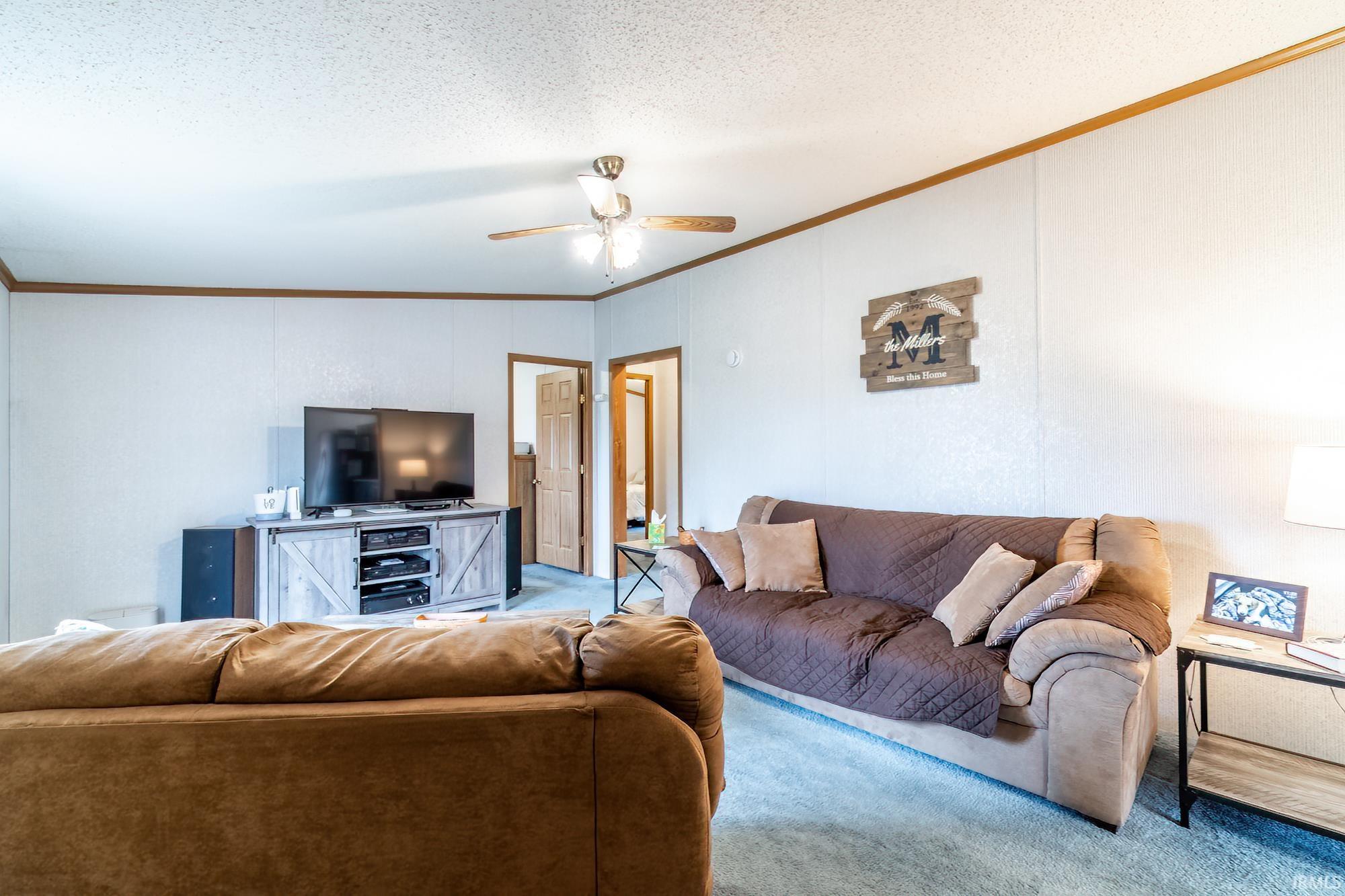 Carpeted living area featuring crown molding, ceiling fan, and a textured ceiling