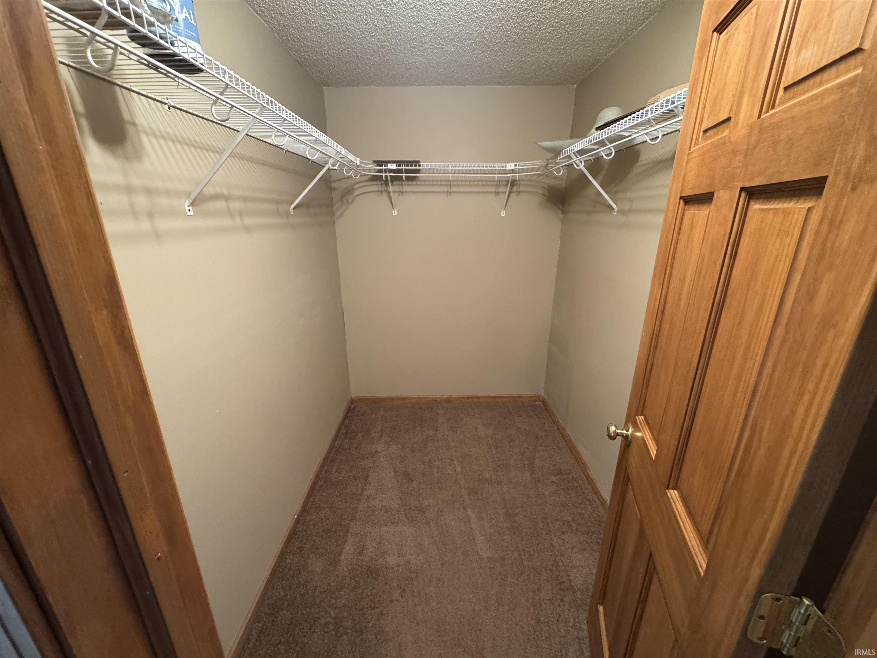 Spacious closet with dark colored carpet