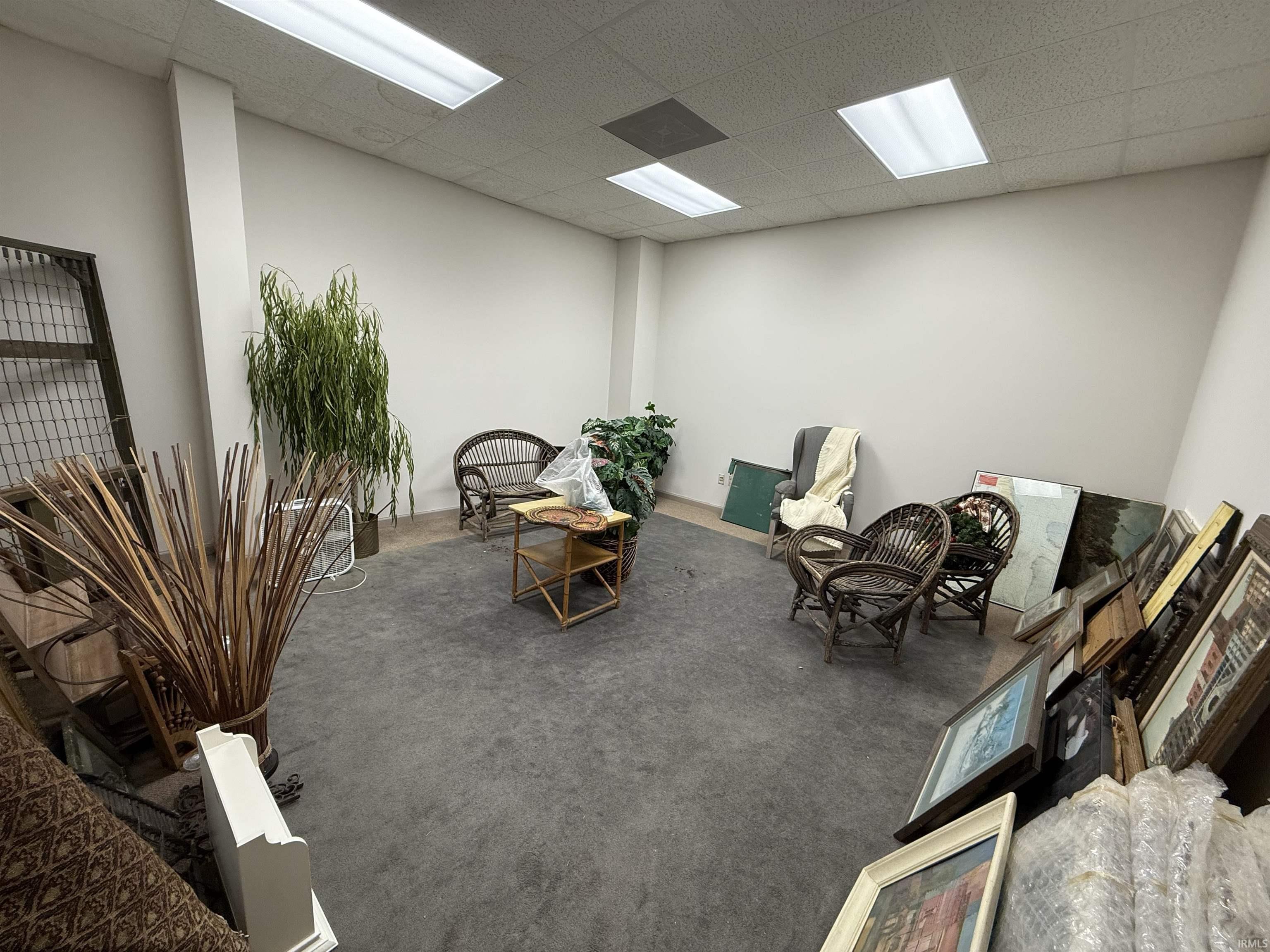 Sitting room featuring carpet floors and a paneled ceiling