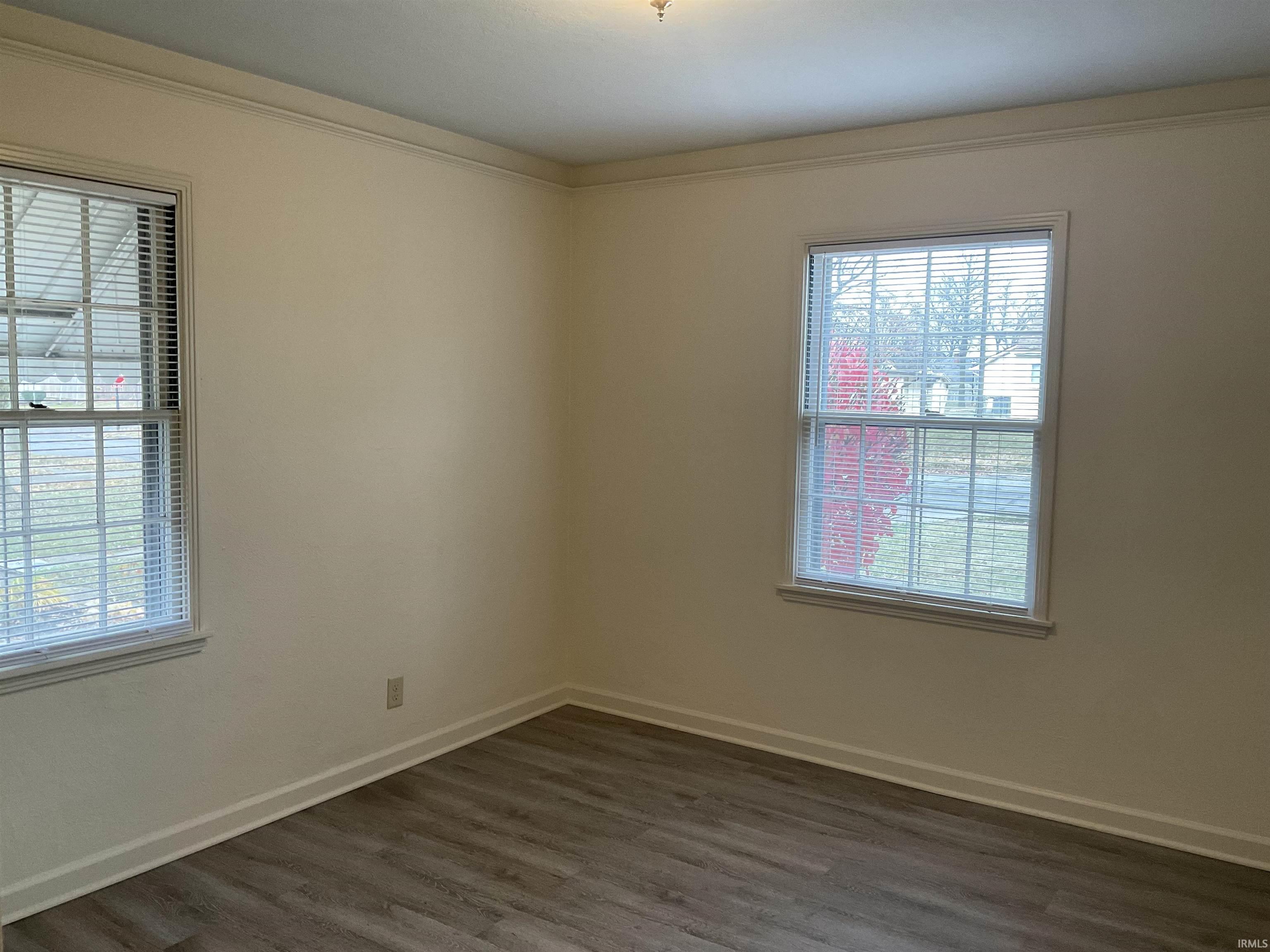 Spare room featuring dark wood-style floors, crown molding, and plenty of natural light