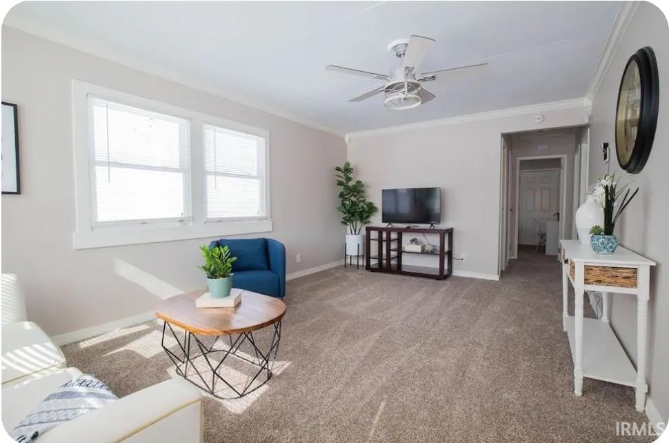 Living area with carpet flooring, ceiling fan, and ornamental molding