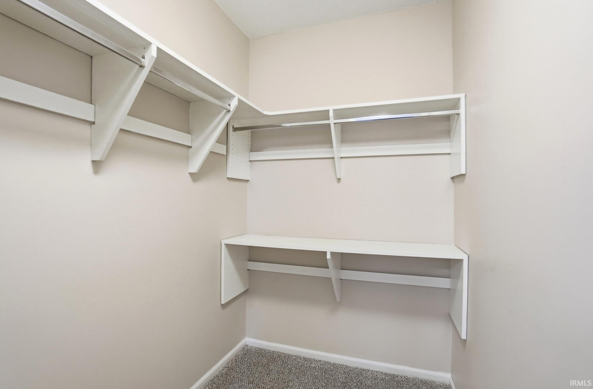 Walk in closet featuring carpet