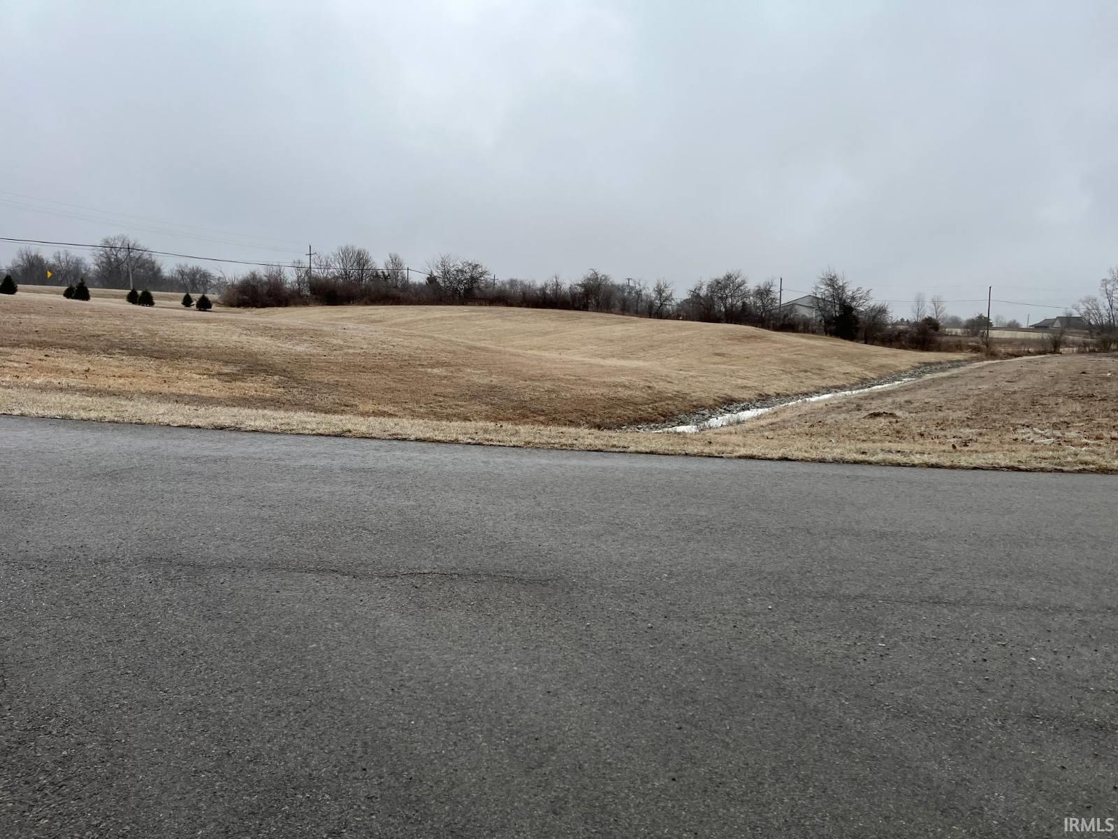 View of asphalt street with a rural view