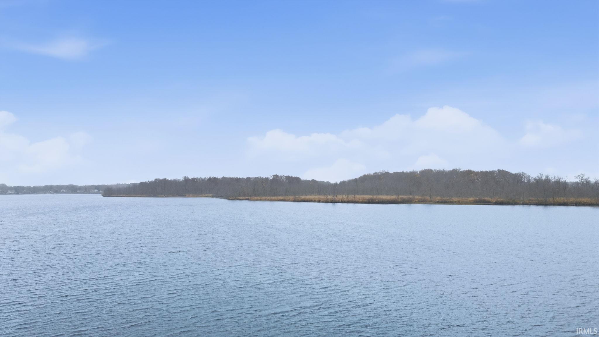 Water view with a forest