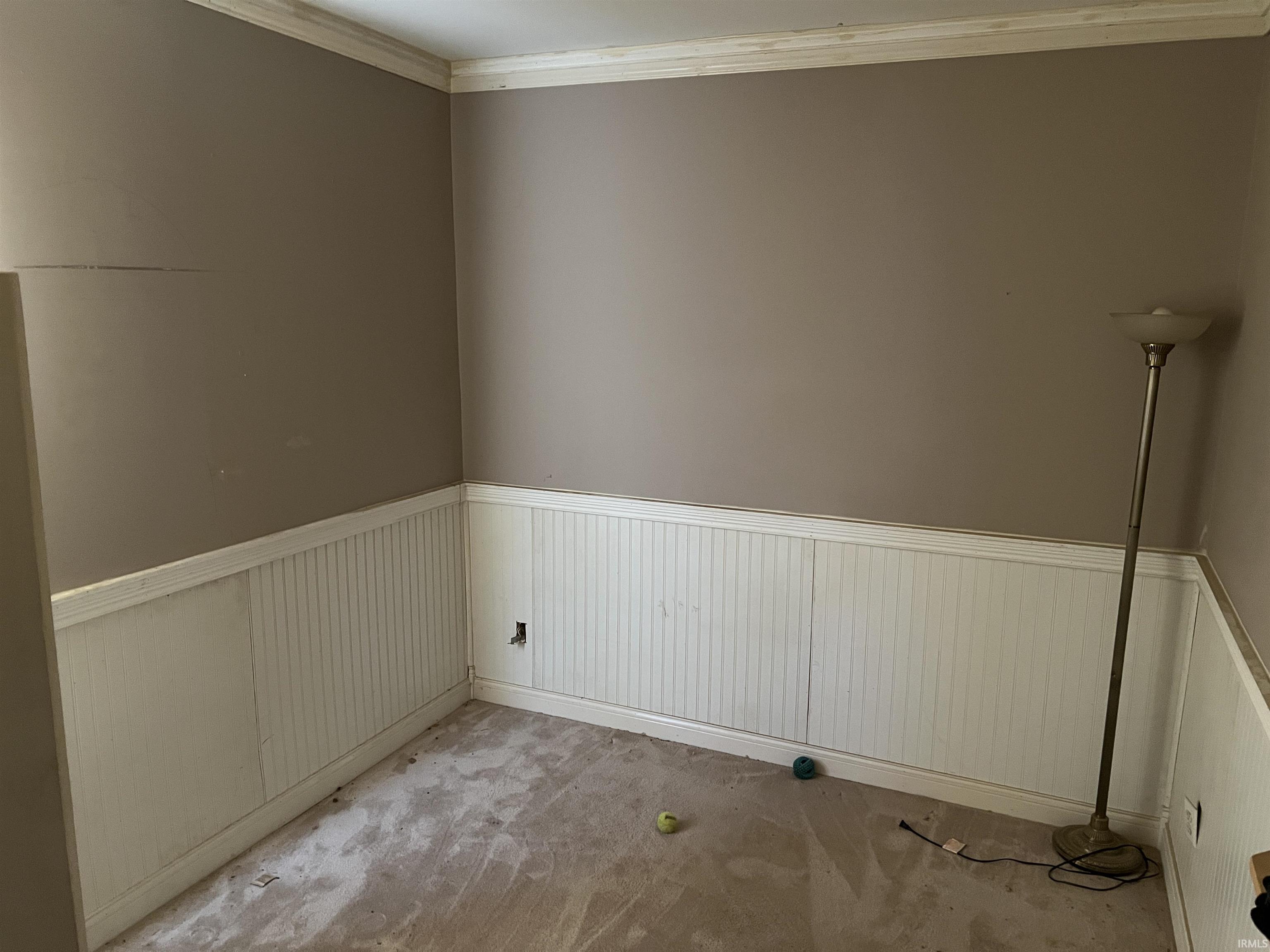 Spare room with crown molding, wainscoting, and carpet flooring