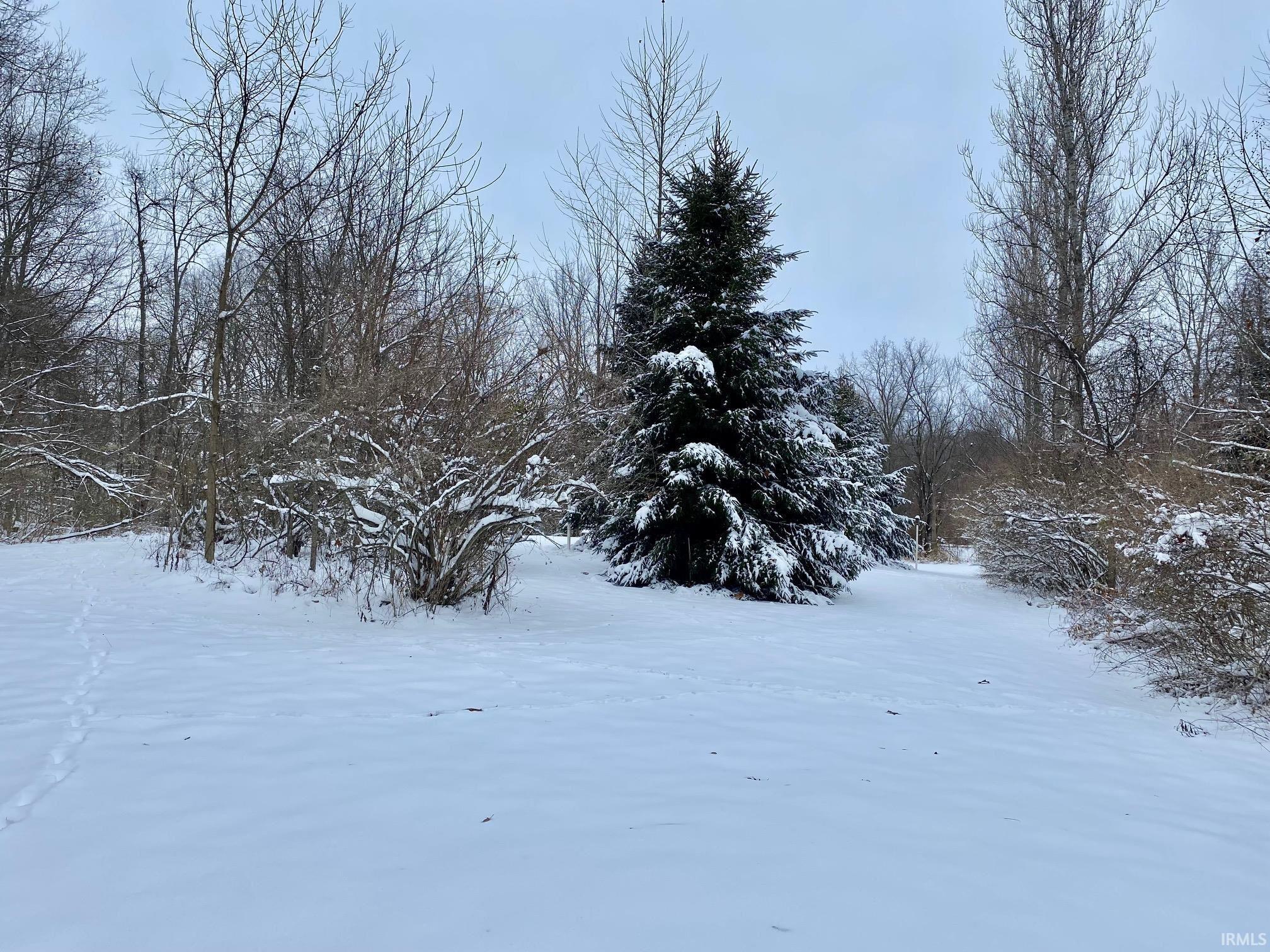 View of yard covered in snow