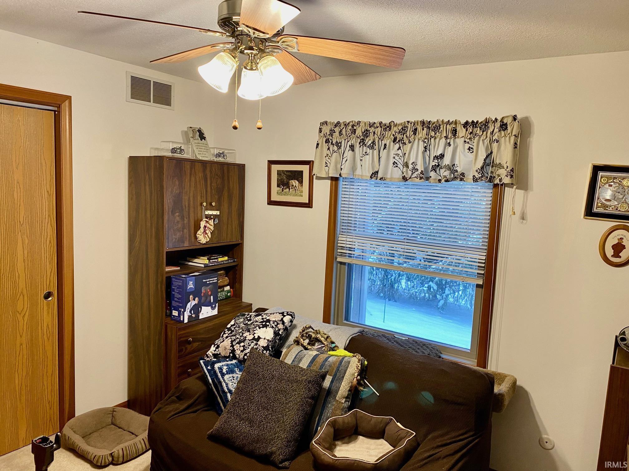 Living area with a ceiling fan