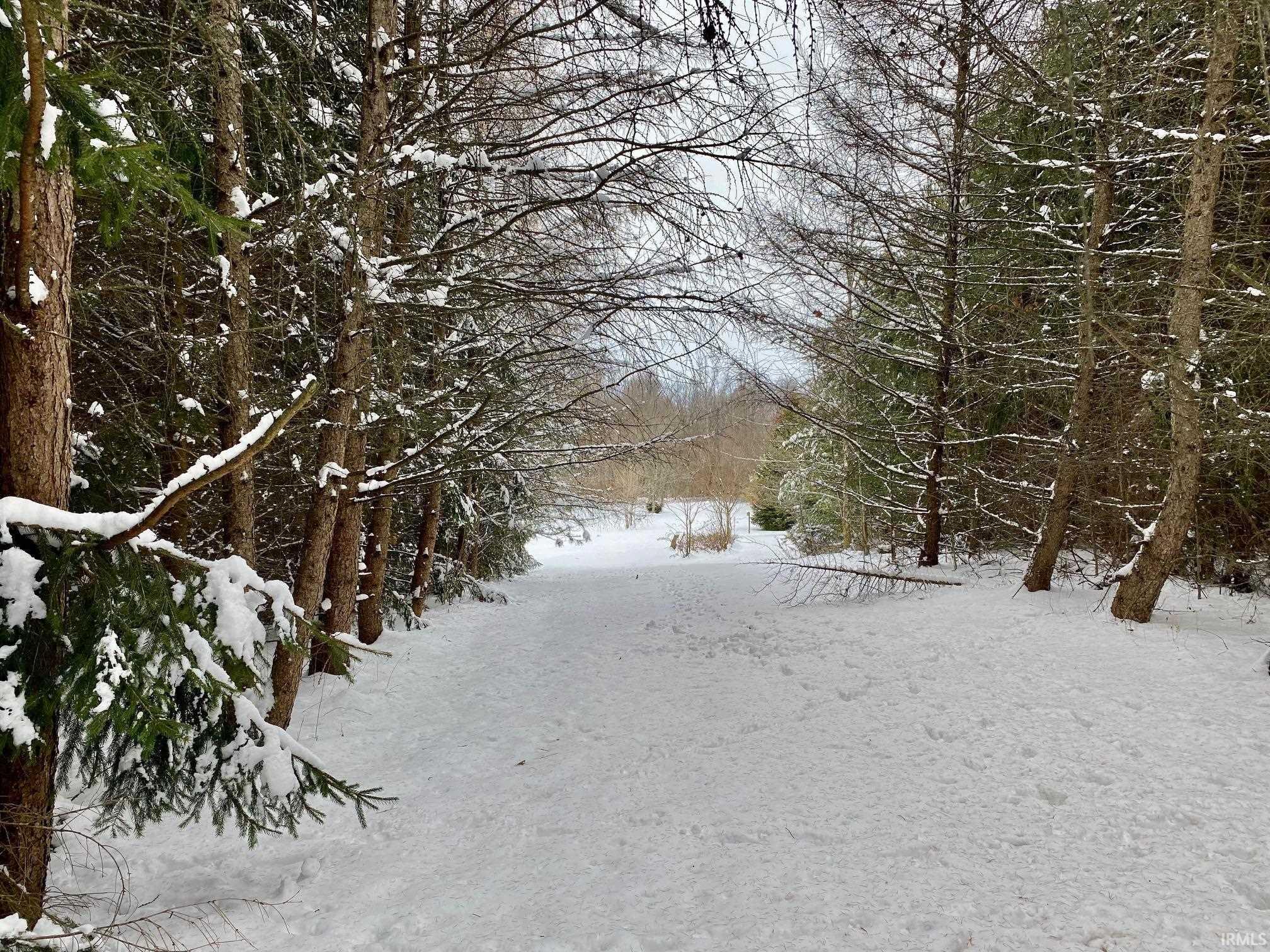 Yard layered in snow featuring a wooded view