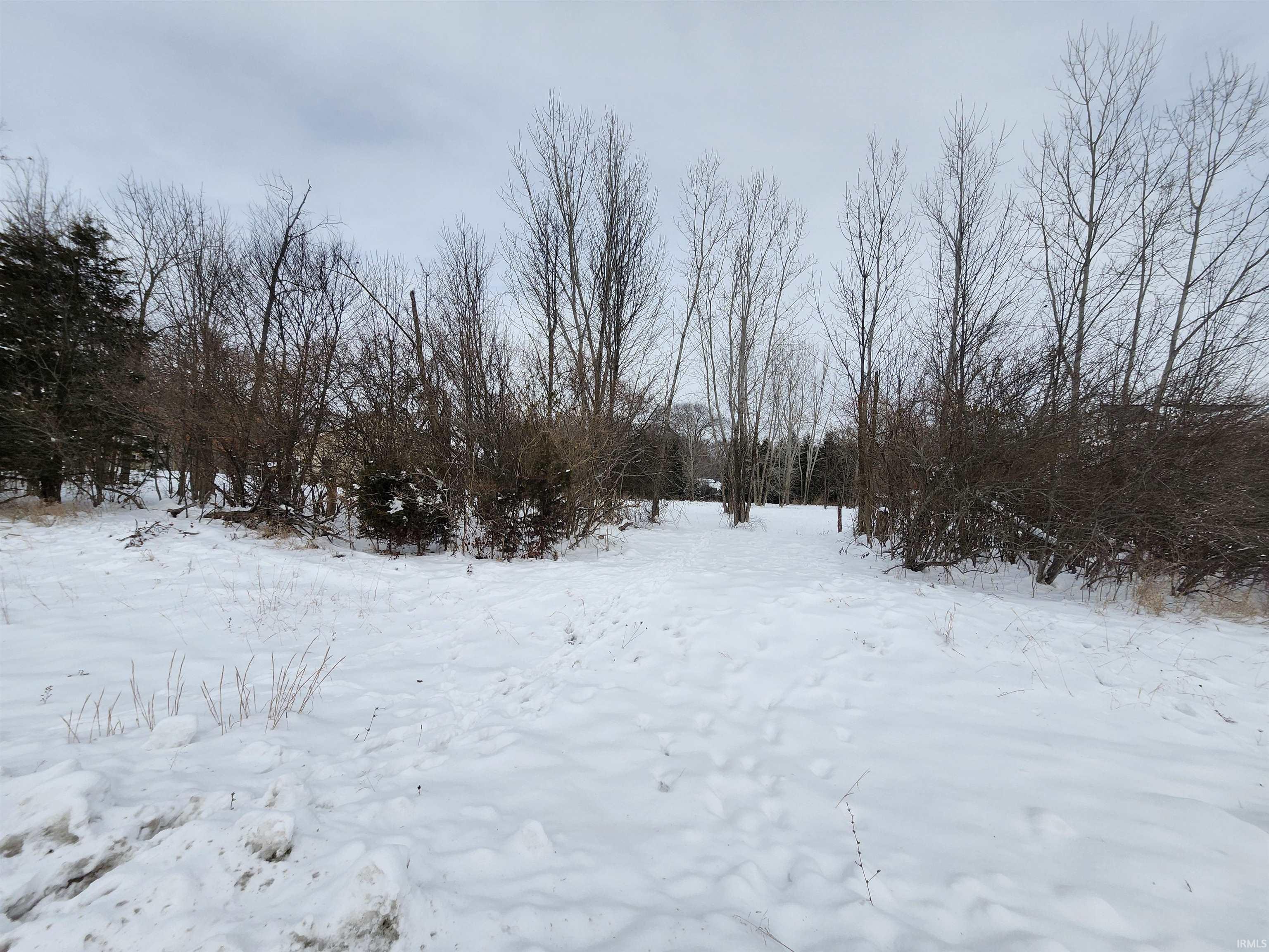 View of yard covered in snow