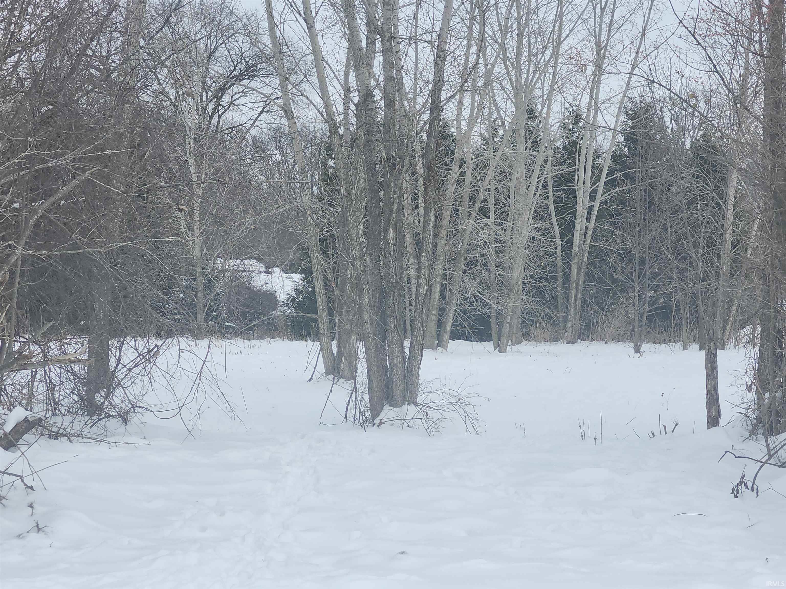 Yard layered in snow with a wooded view