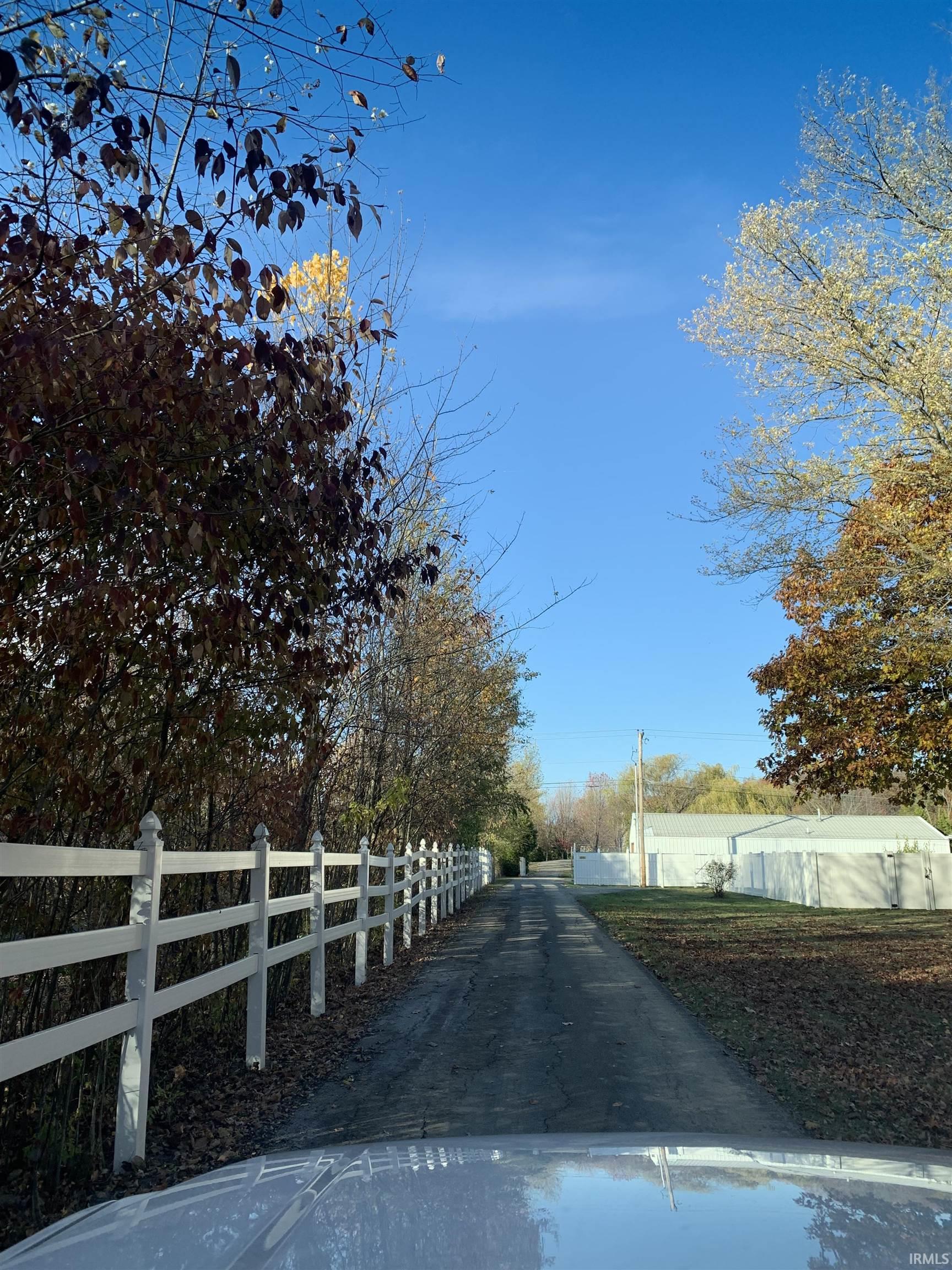 View of Driveway back to the House.