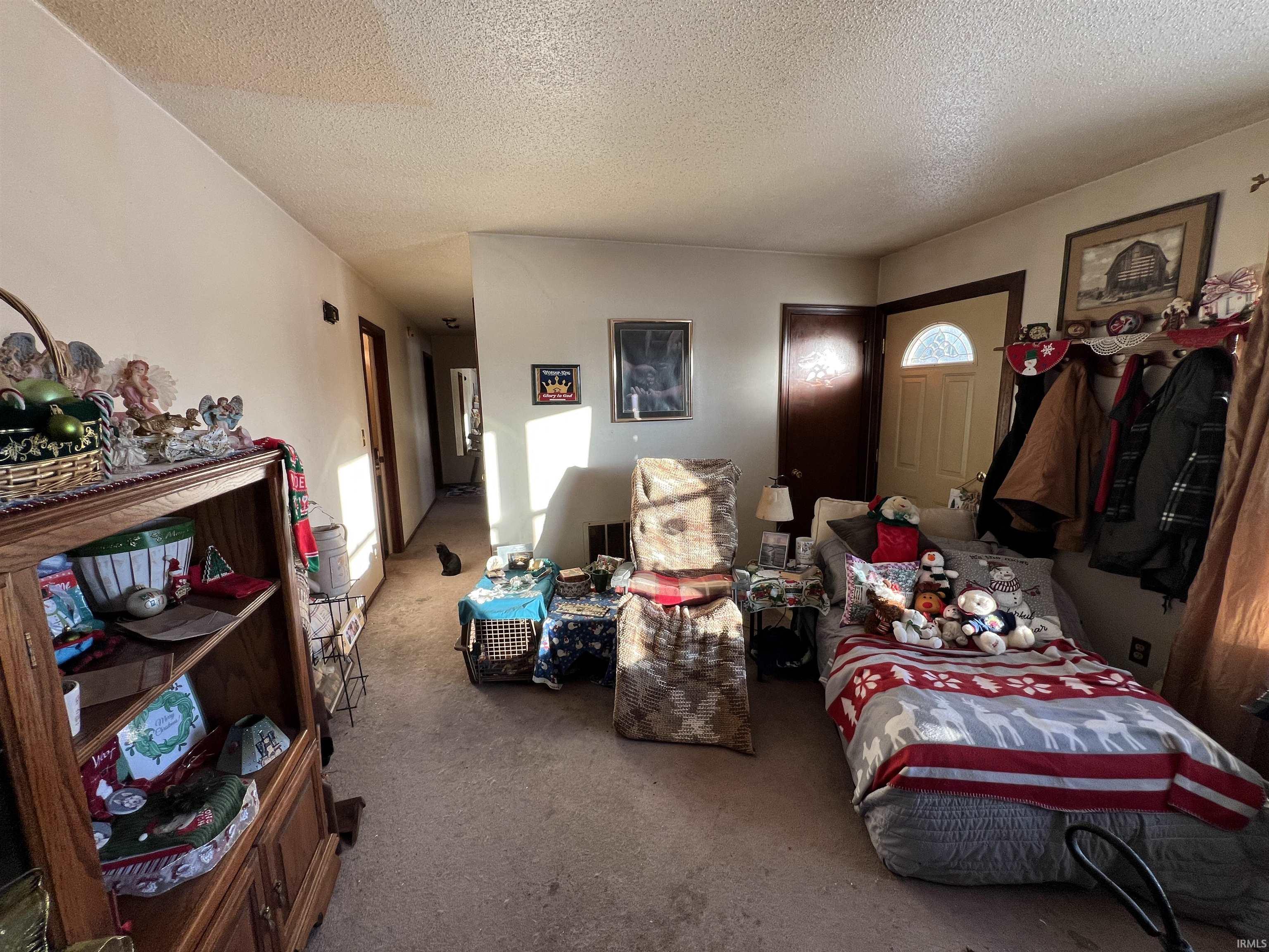 Carpeted living area with a textured ceiling