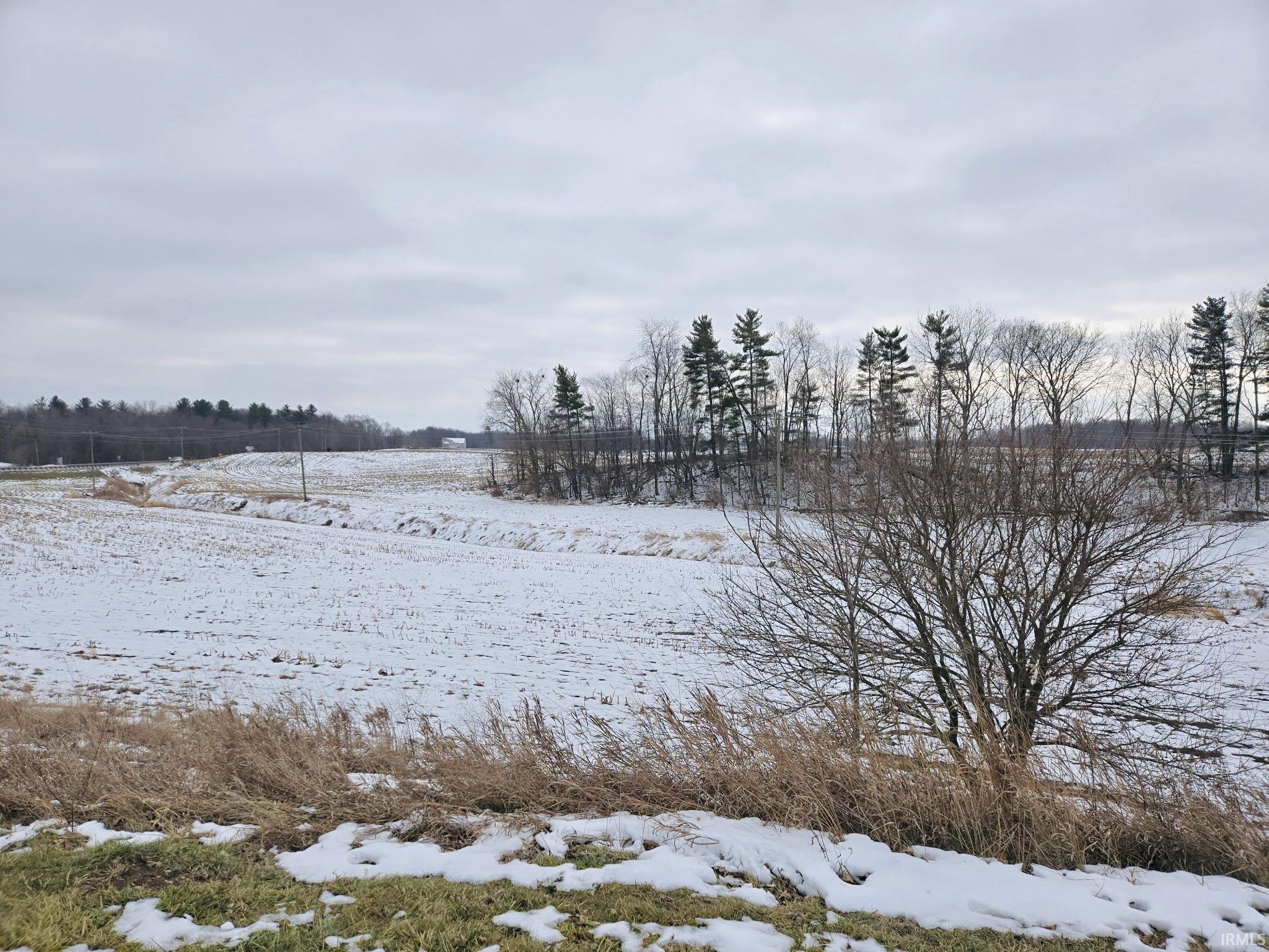 View of yard covered in snow