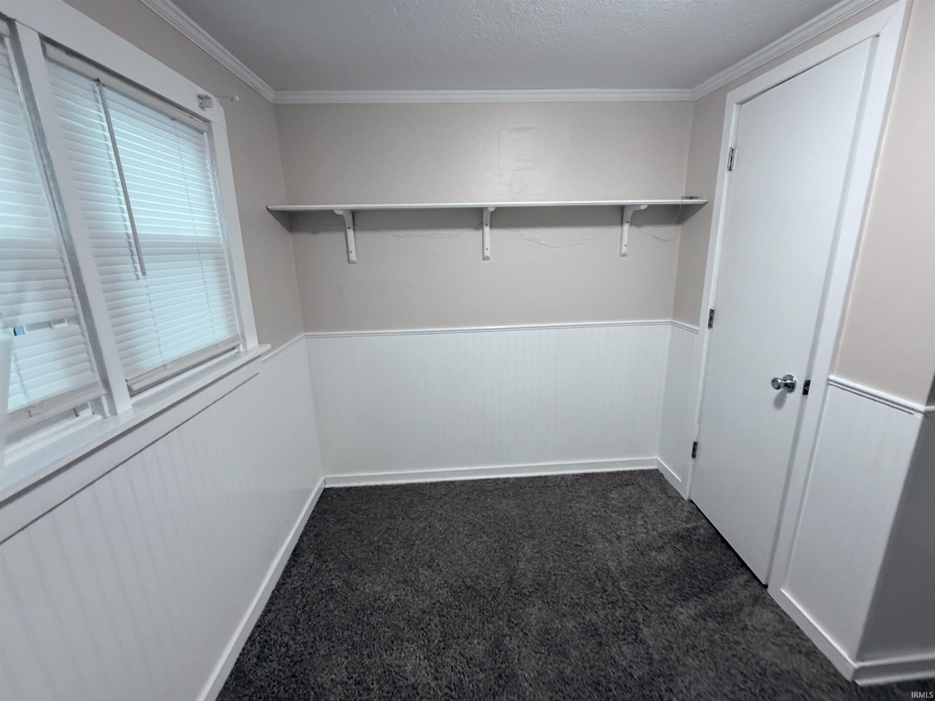 Spacious closet featuring dark colored carpet