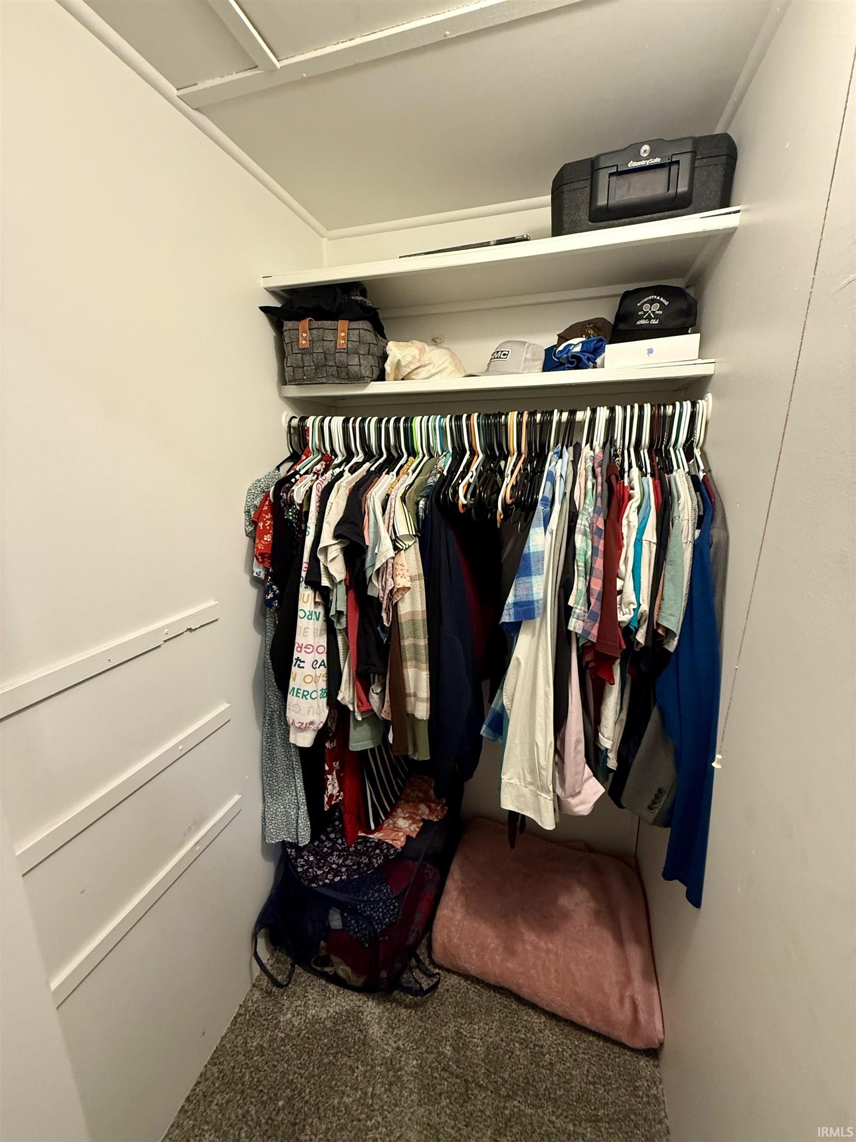Walk in closet featuring carpet floors