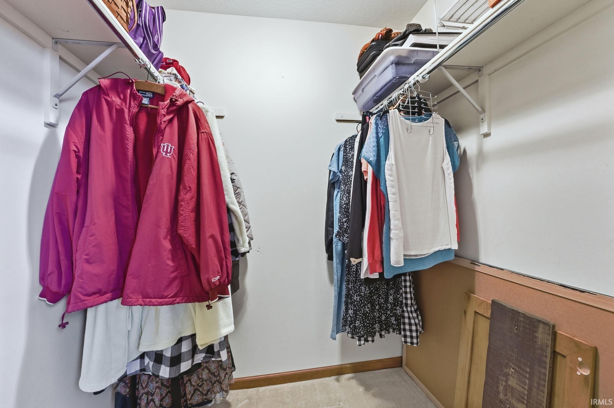 Walk in closet with light colored carpet