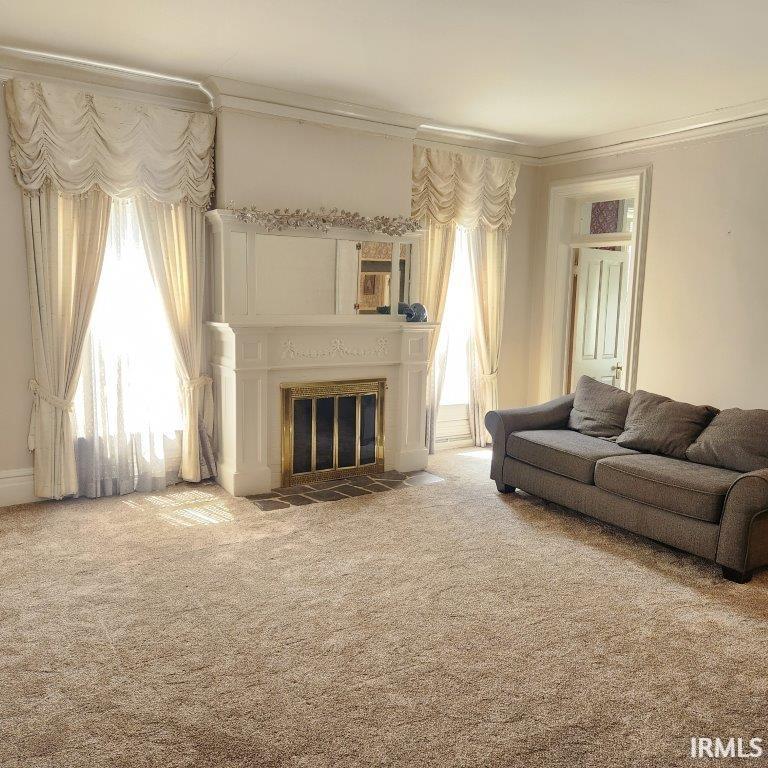 Living area with a fireplace with flush hearth, carpet, and crown molding