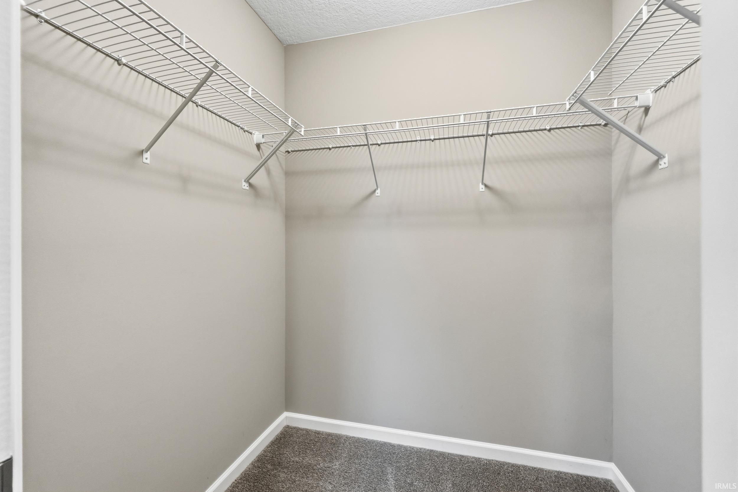 Walk in closet with carpet