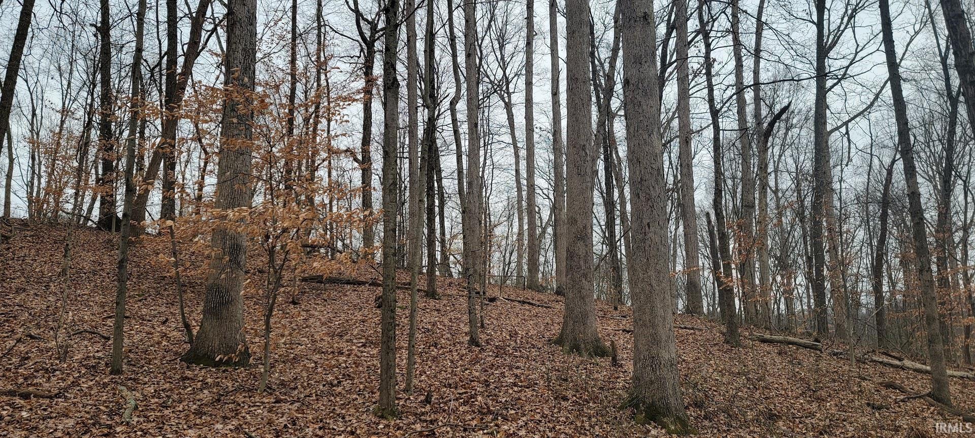 Homes for sale in Solsberry, IN | 22+/- Acres Stephanie Ct, Solsberry, IN 47459 | MLS# 202600890