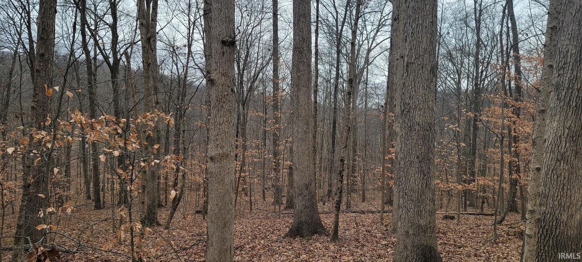 Homes for sale in Solsberry, IN | 22+/- Acres Stephanie Ct, Solsberry, IN 47459 | MLS# 202600890