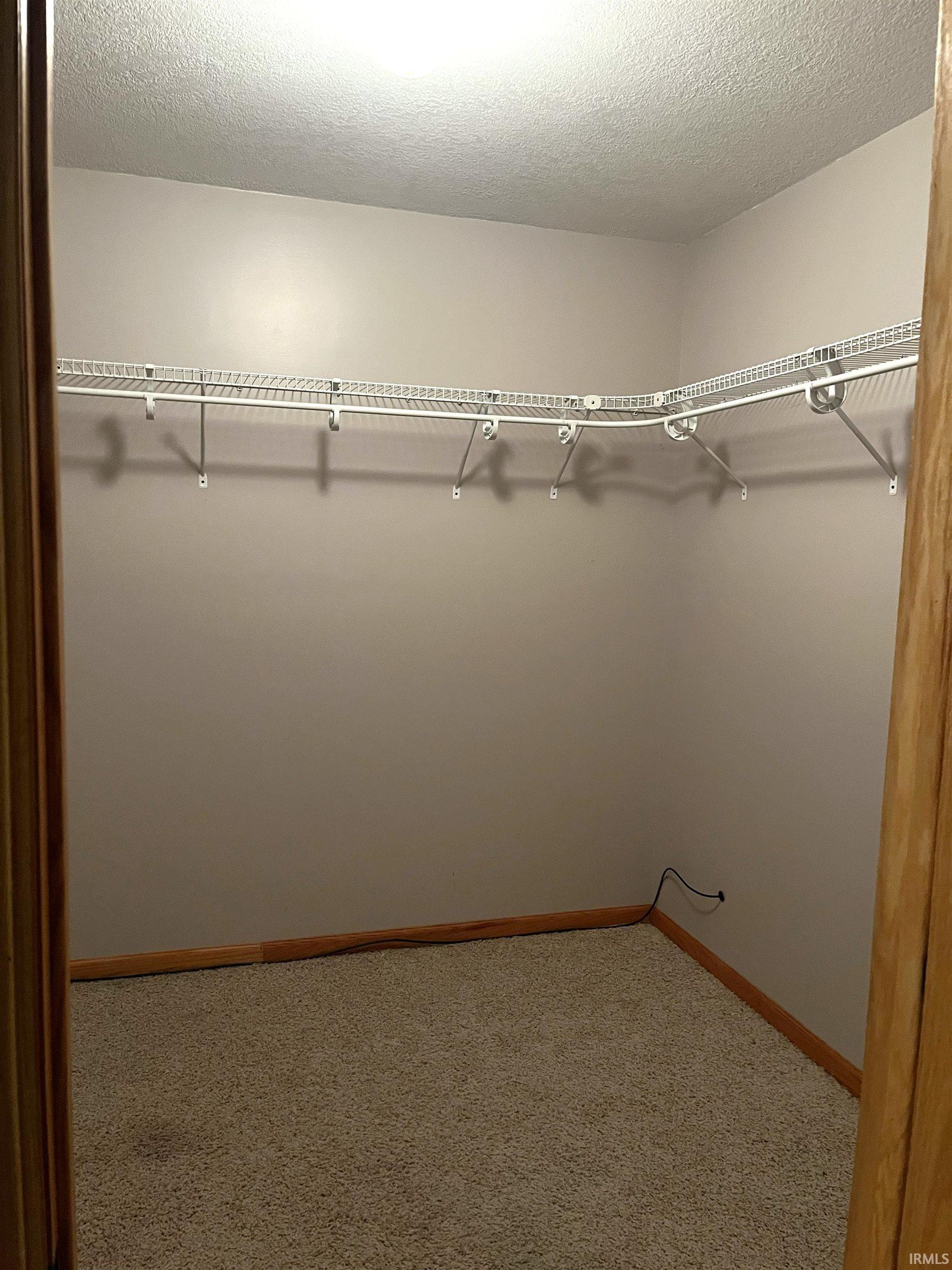 Spacious closet featuring carpet