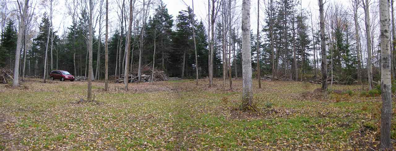 $45,900.00: Lot 4 Malagash Road, Malagash