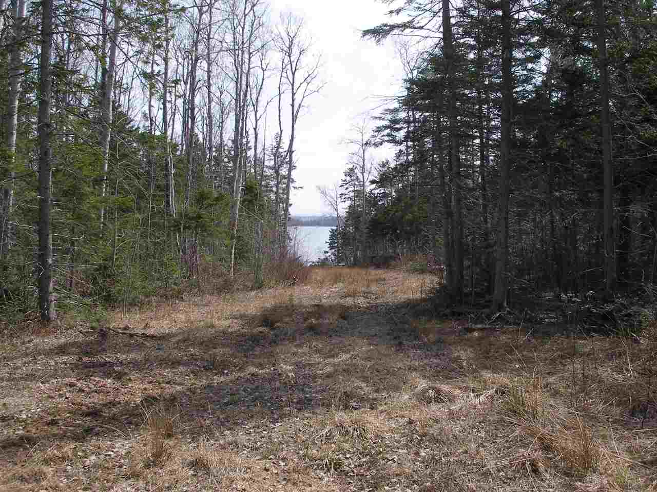$45,900.00: Lot 4 Malagash Road, Malagash