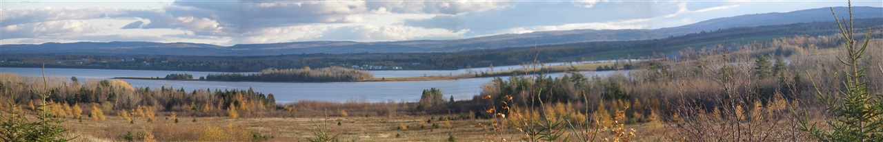 $45,900.00: Lot 4 Malagash Road, Malagash