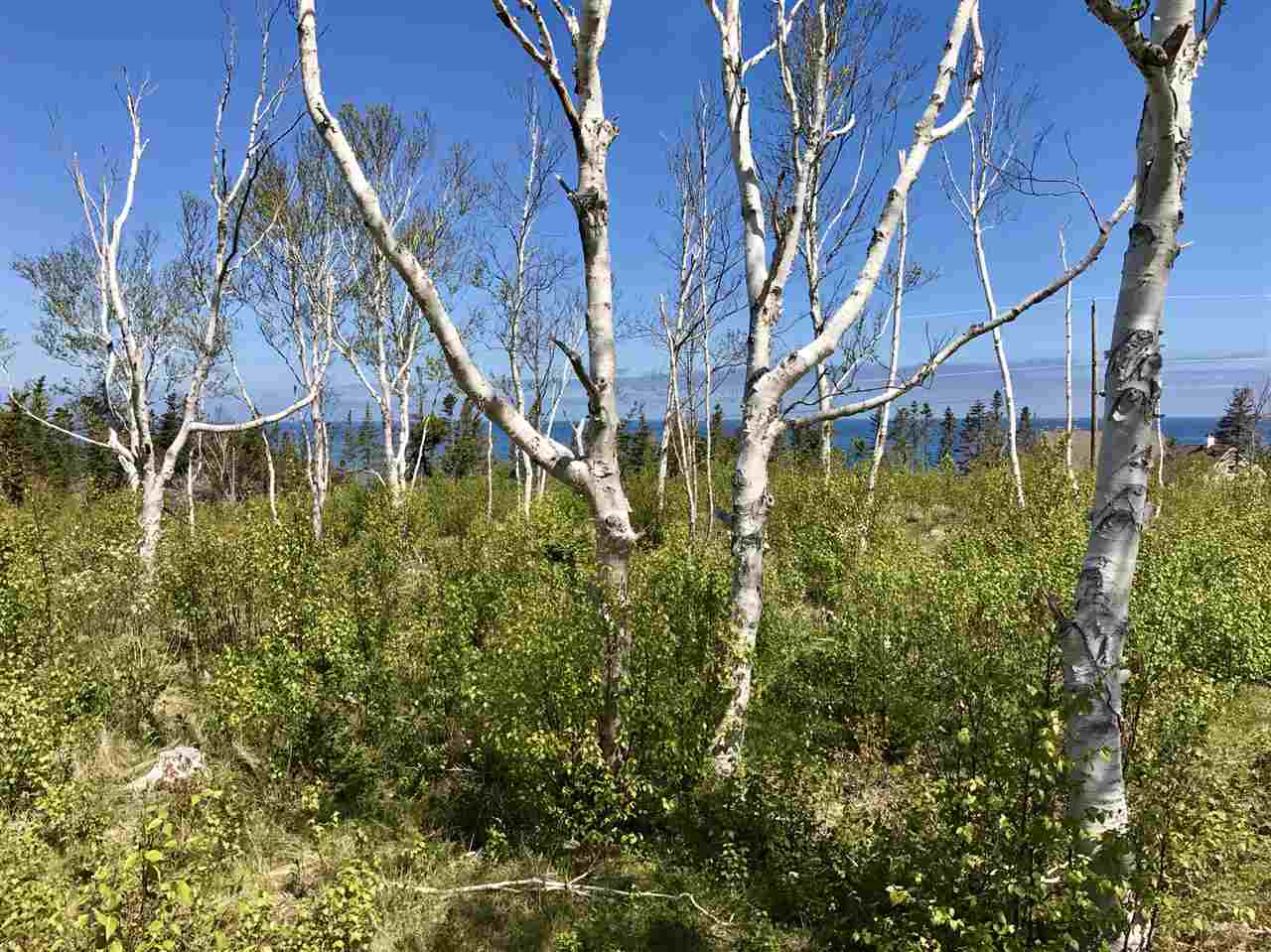 $145,000.00: Lot 3 Seabrook Way, Doctors Brook