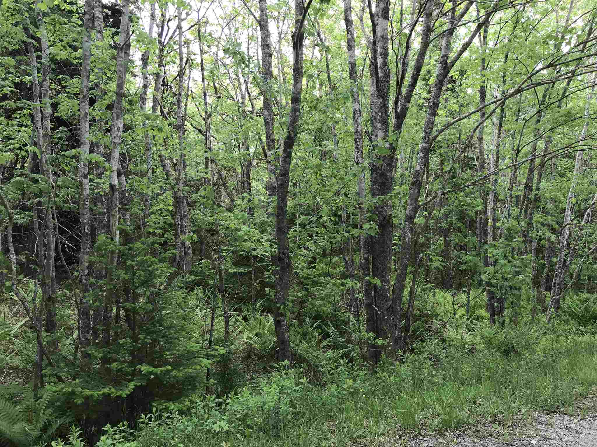 $95,000.00: 53.03 Acres Highway 308 Highway, Belleville