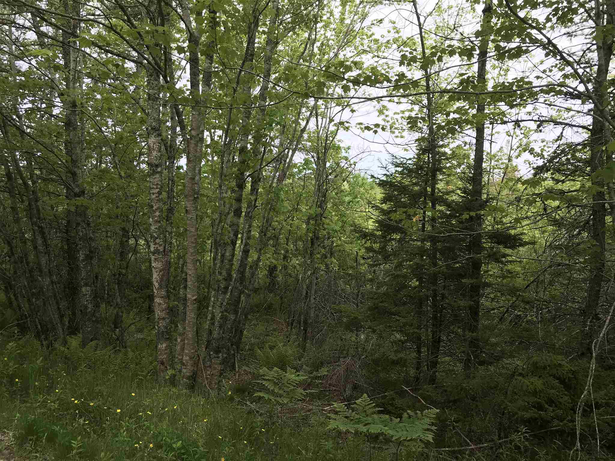 $95,000.00: 53.03 Acres Highway 308 Highway, Belleville