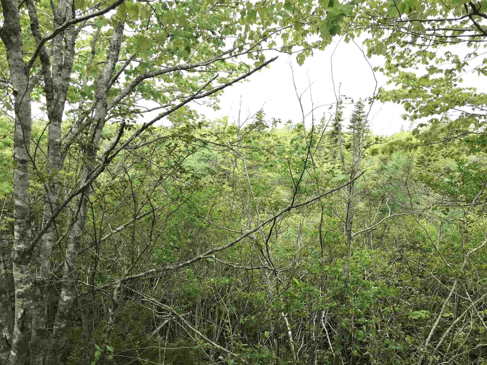 $95,000.00: 53.03 Acres Highway 308 Highway, Belleville