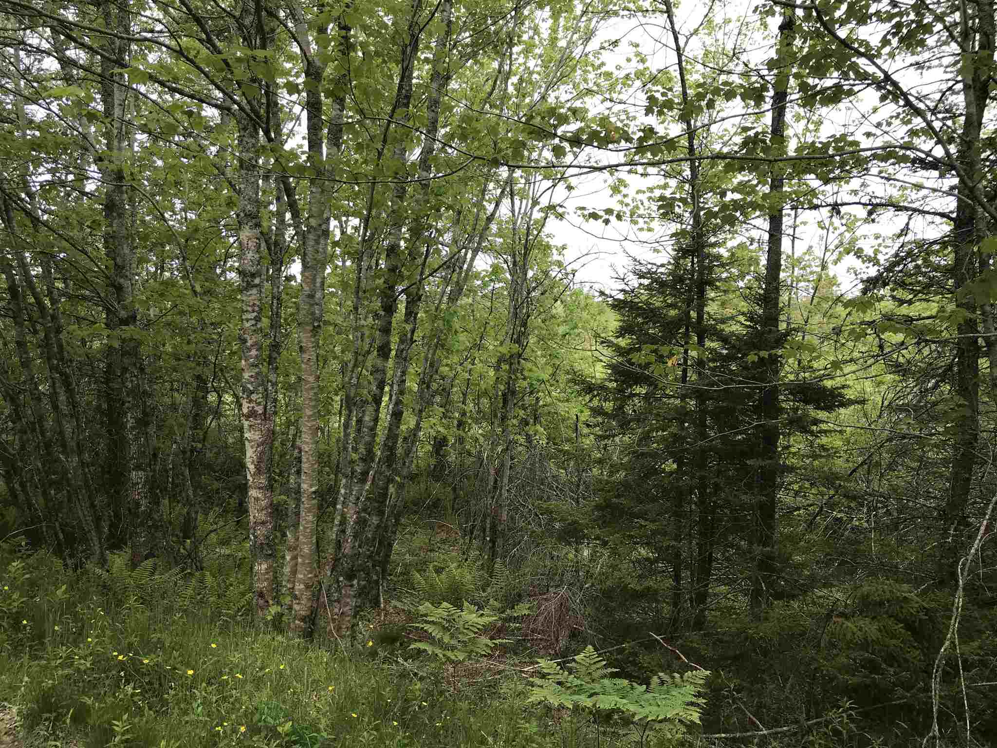 $95,000.00: 53.03 Acres Highway 308 Highway, Belleville