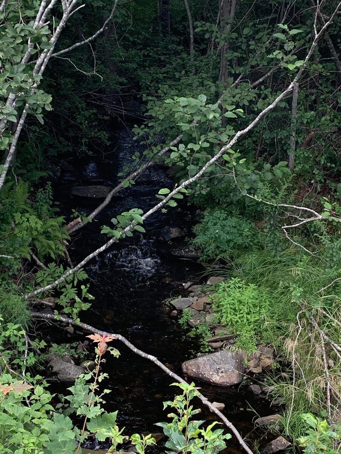 $29,900.00: Highway 340 Forest Glen, Forest Glen
