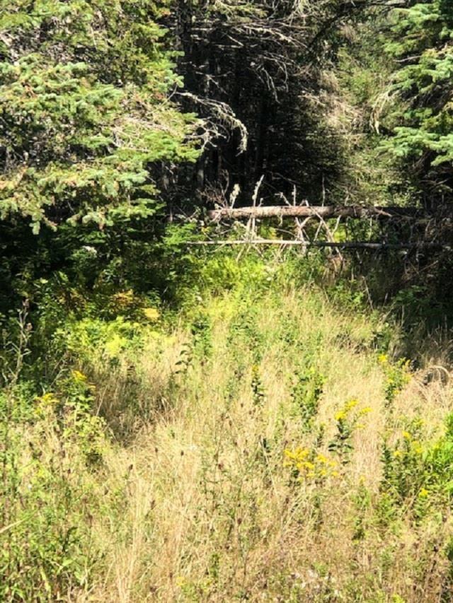 $39,500.00: #4 Highway, St. Peter
